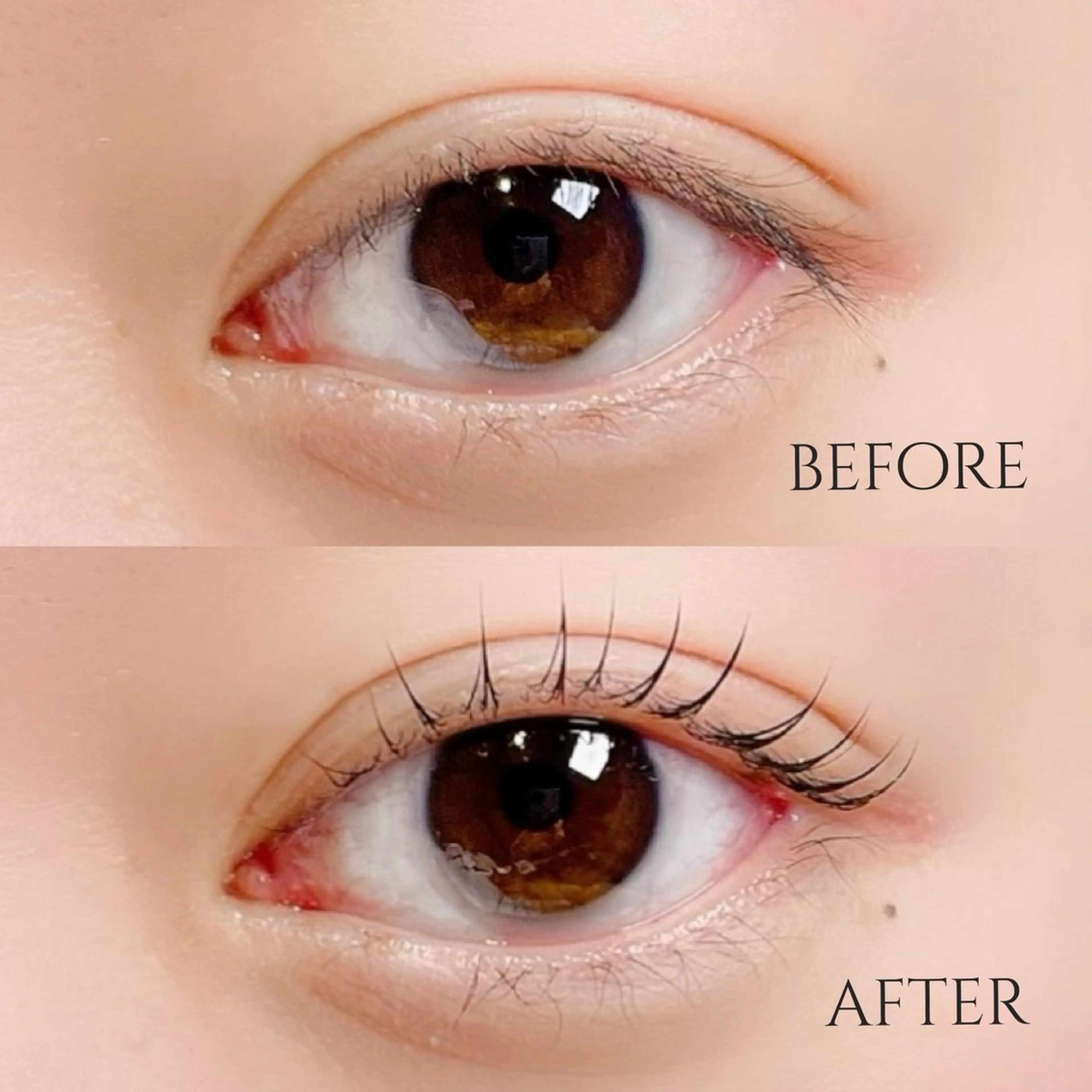 マツエク・マツパ MOMOE 恵比寿 まつげパーマのマツエク・マツパデザイン