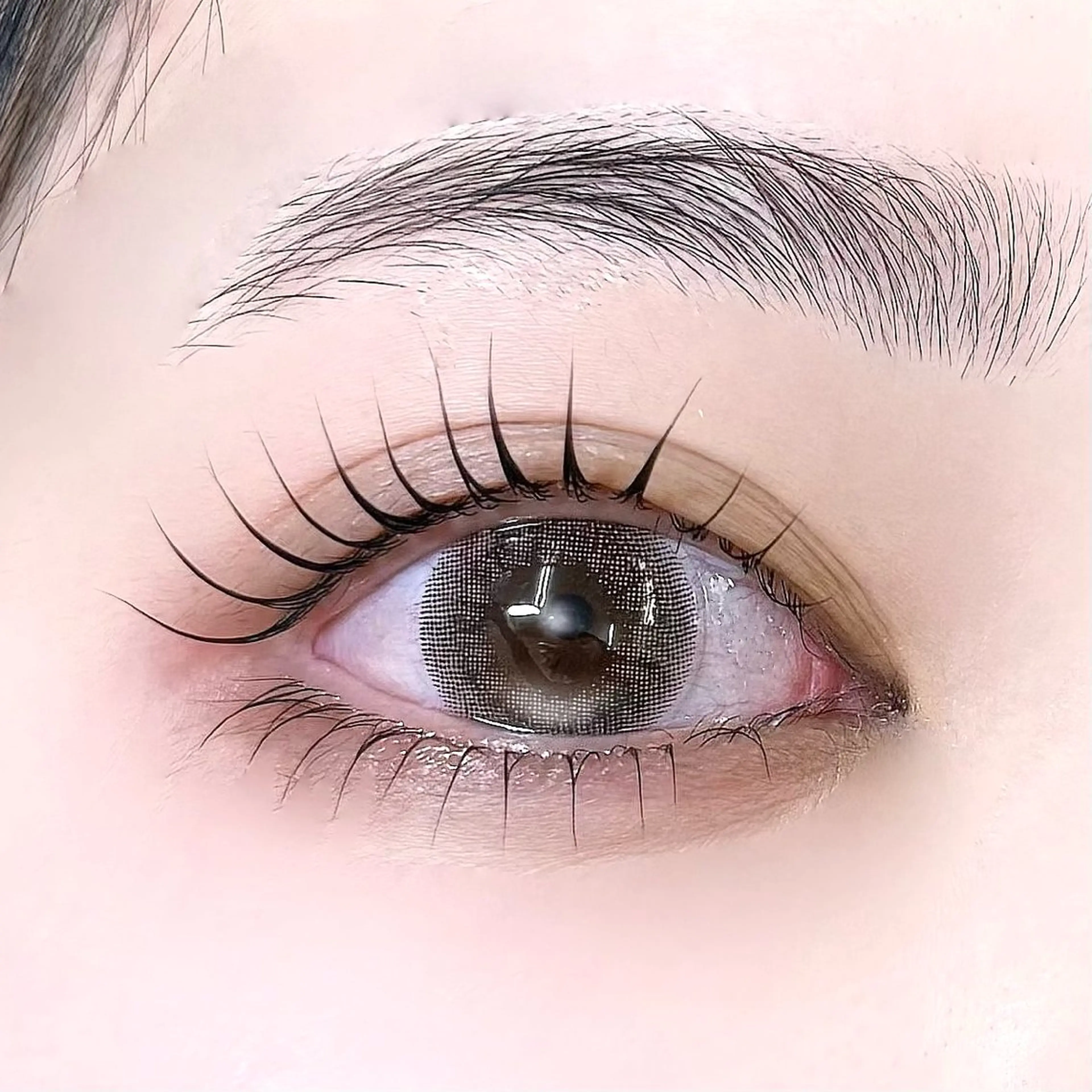 🤍韓国束感まつげパーマ🤍パリジェンヌ可➕コーティング付の写真