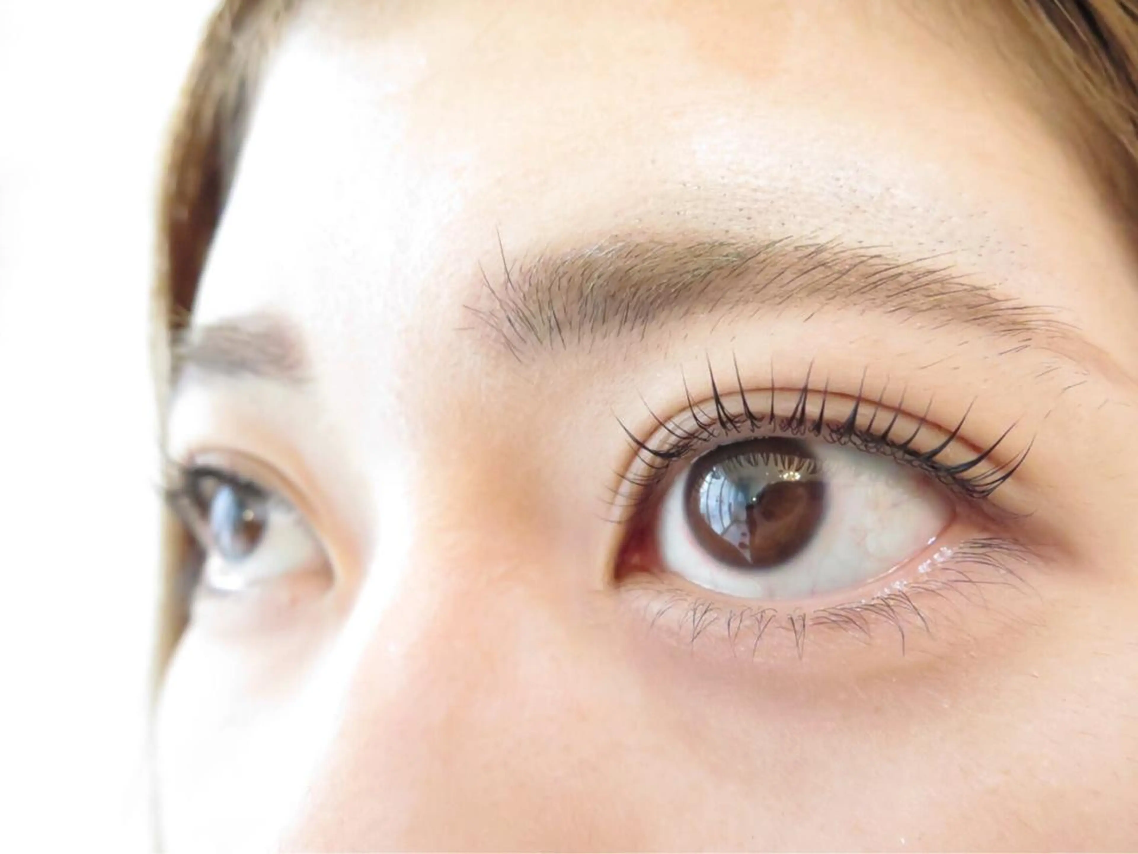 マツエク・マツパ サクラブロウ 池袋　店の眉毛・アイブロウイメージ