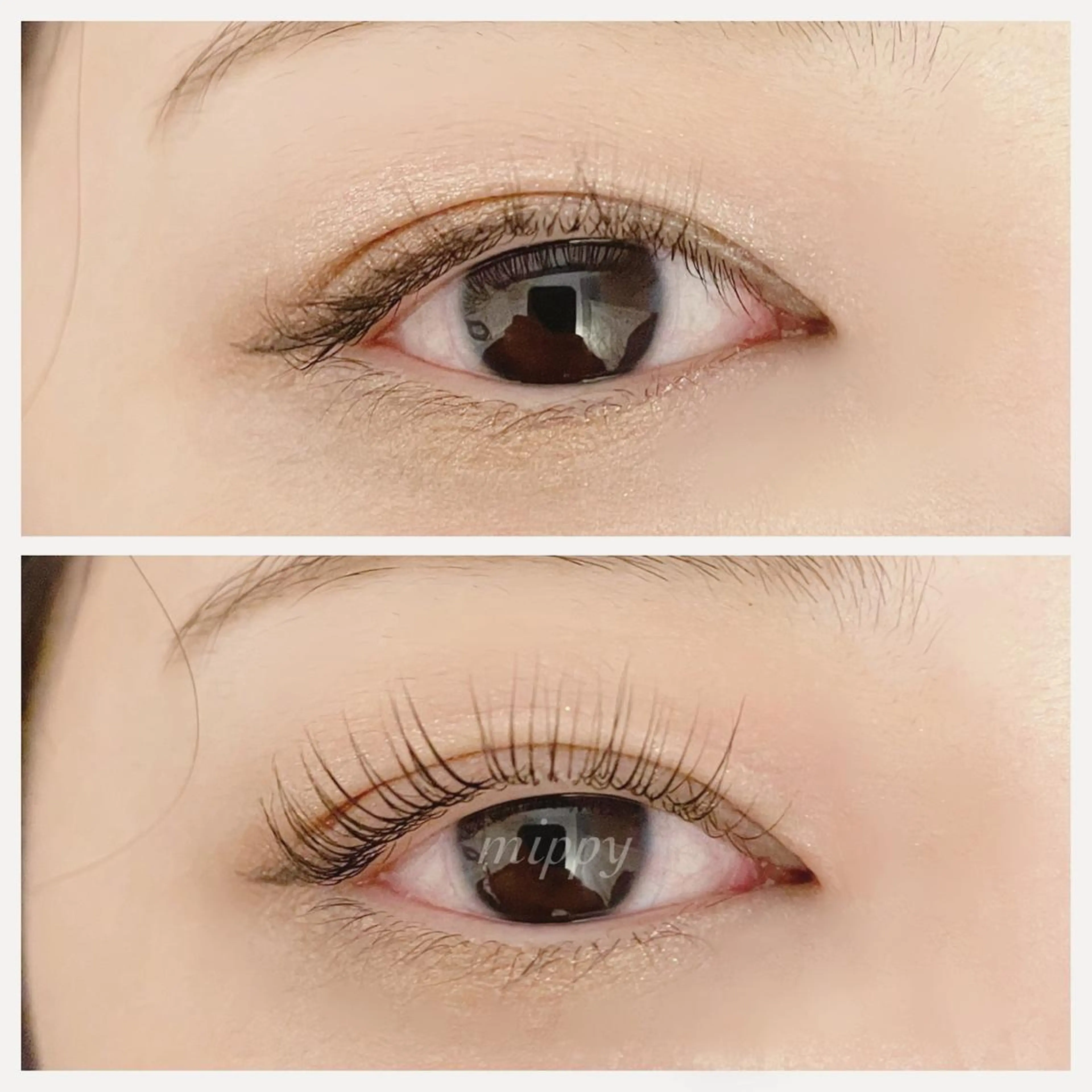 マツエク・マツパ パリジェンヌラッシュリフト ｍｉｐｐｙ 🪽のマツエク・マツパデザイン