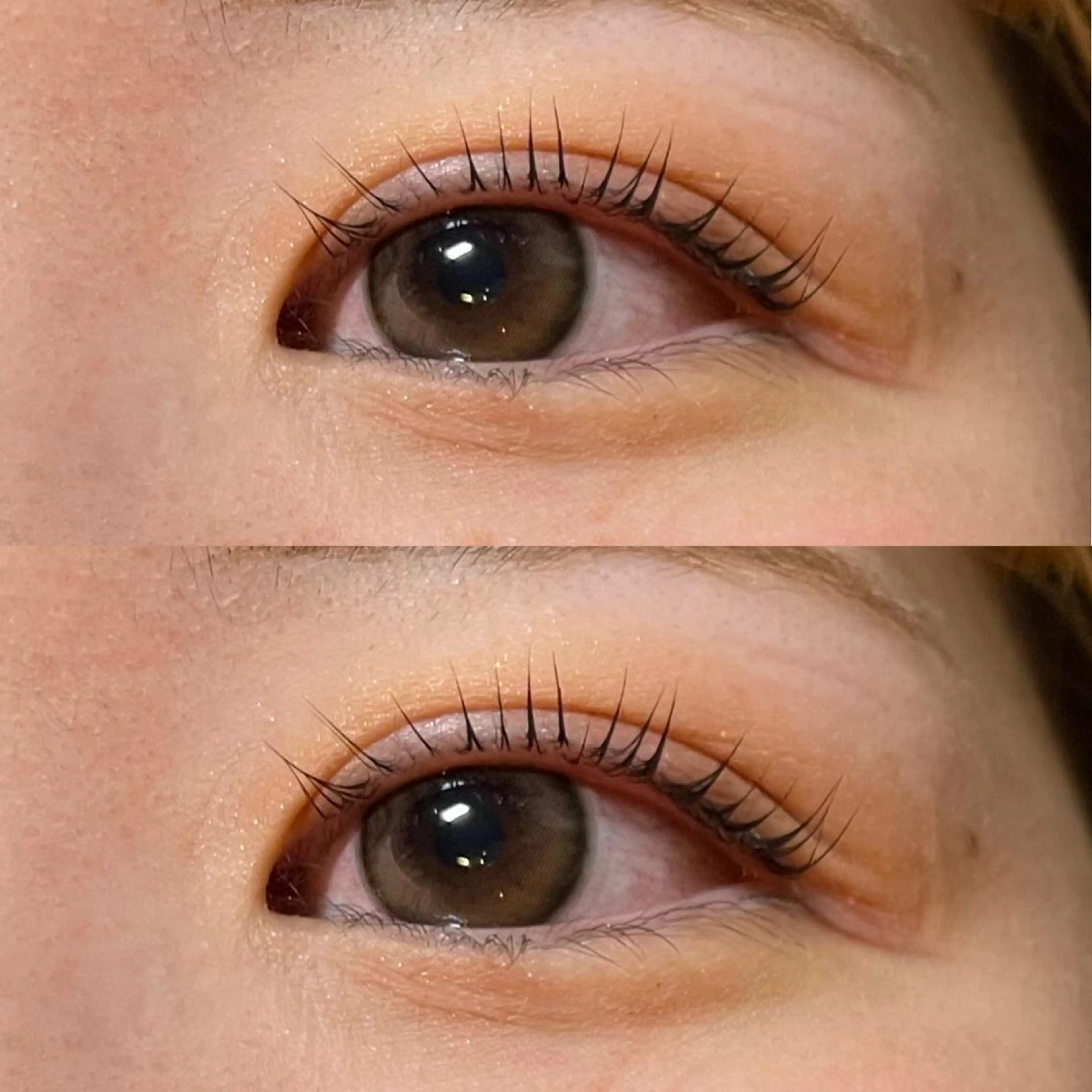 マツエク・マツパ パリジェンヌラッシュリフト scarlet asahiのマツエク・マツパデザイン