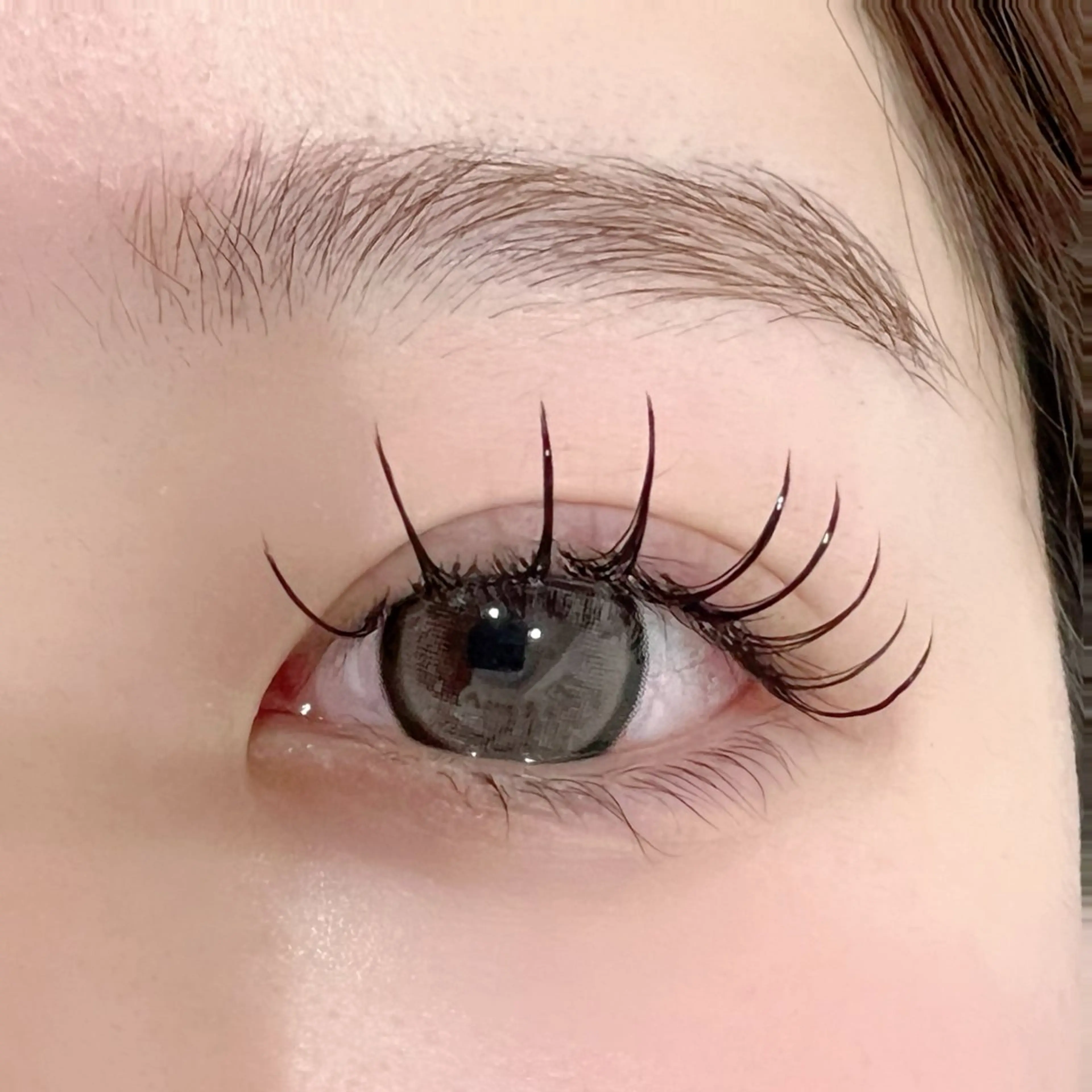 LEDフラットラッシュ120本🤎(コーティング付き)の写真