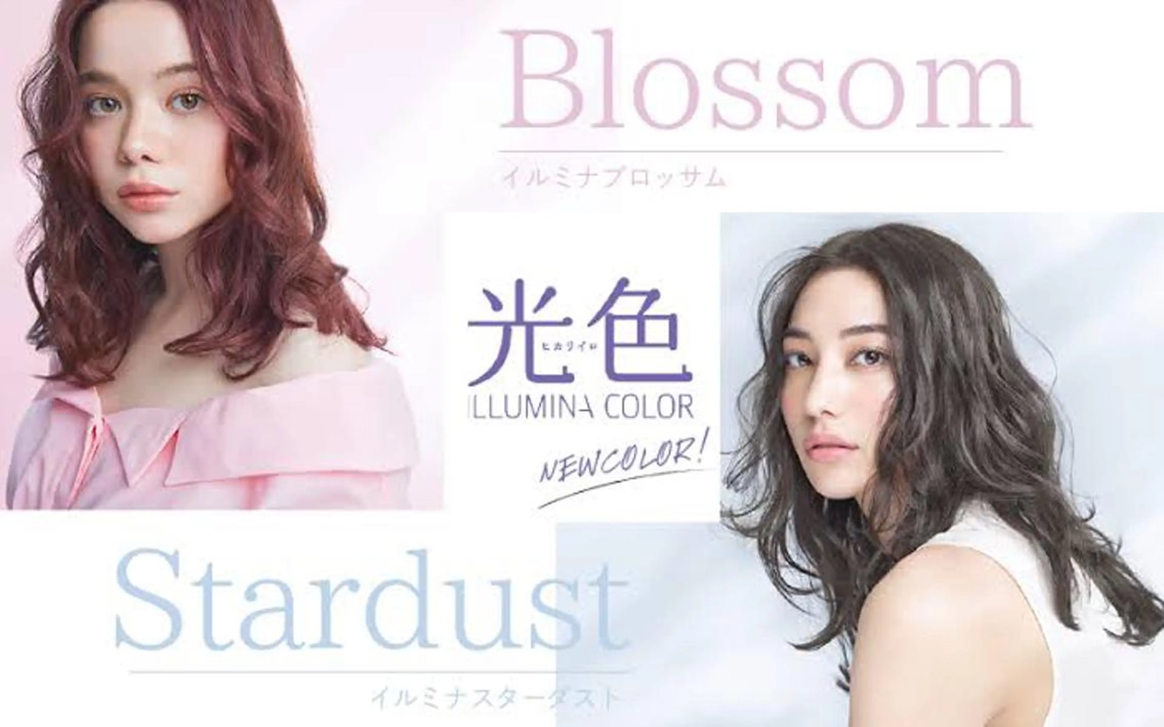 青木 茂樹⭐️ 透明感カラーのヘアスタイル