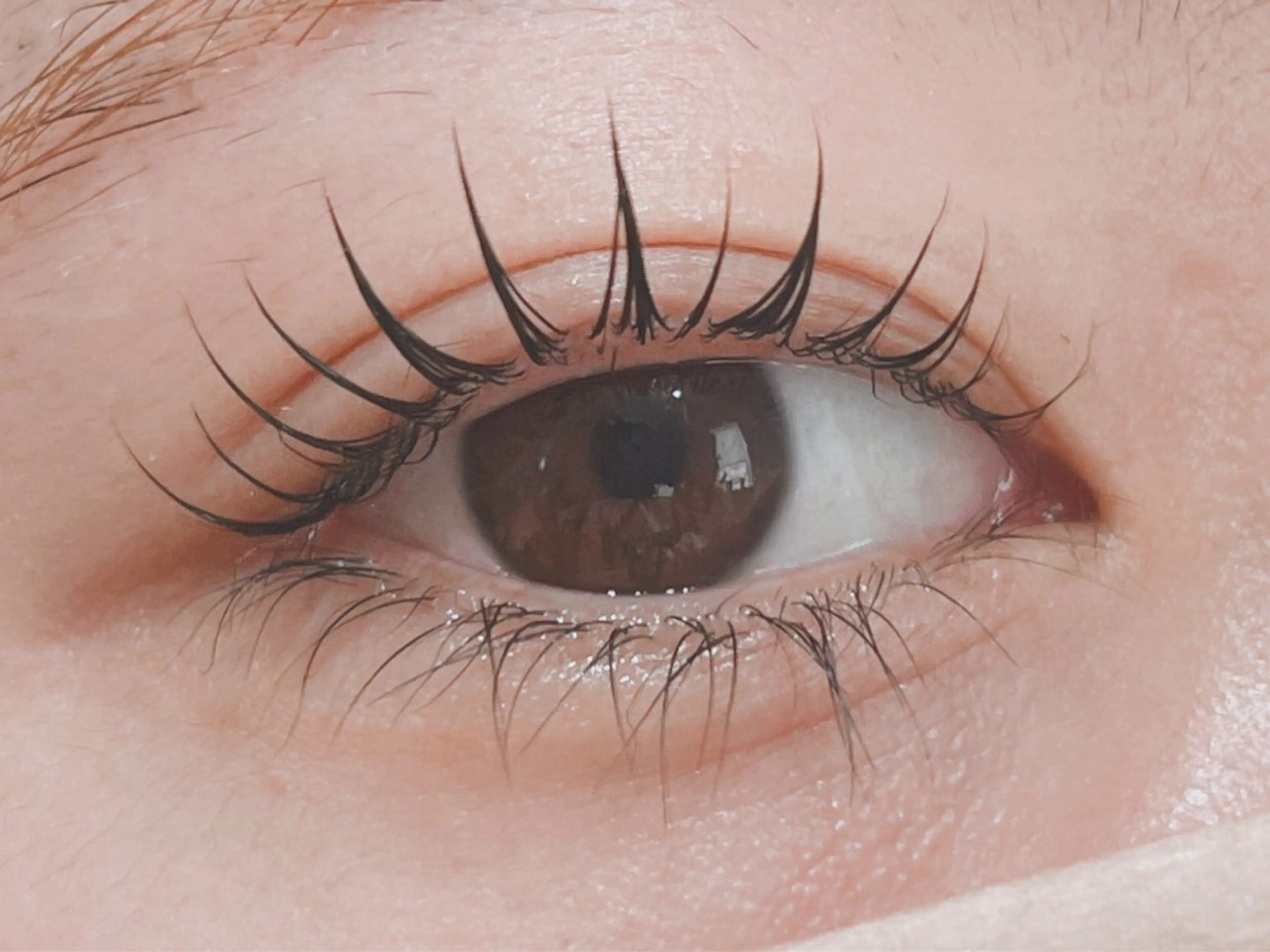 大人可愛いまつ毛パーマ【美容液配合トリートメント付き】の写真