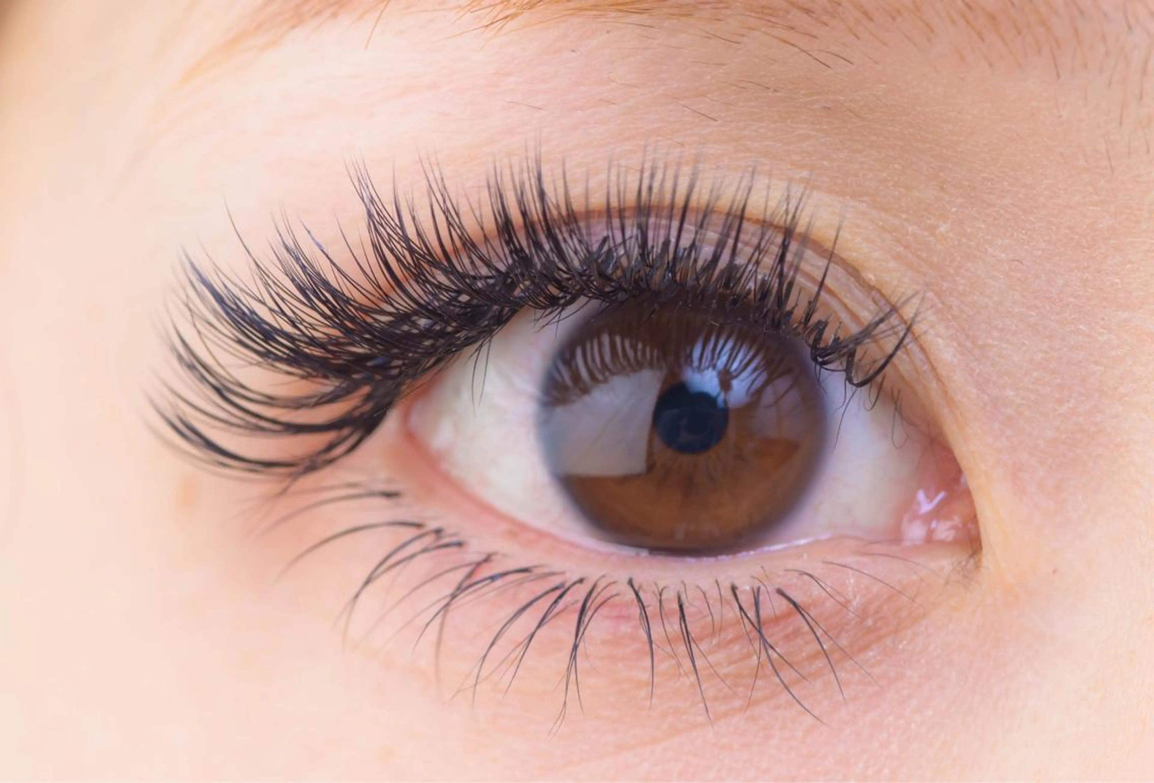 マツエク・マツパ ボリュームラッシュ アイサロン フェア 川崎店のマツエク・マツパデザイン