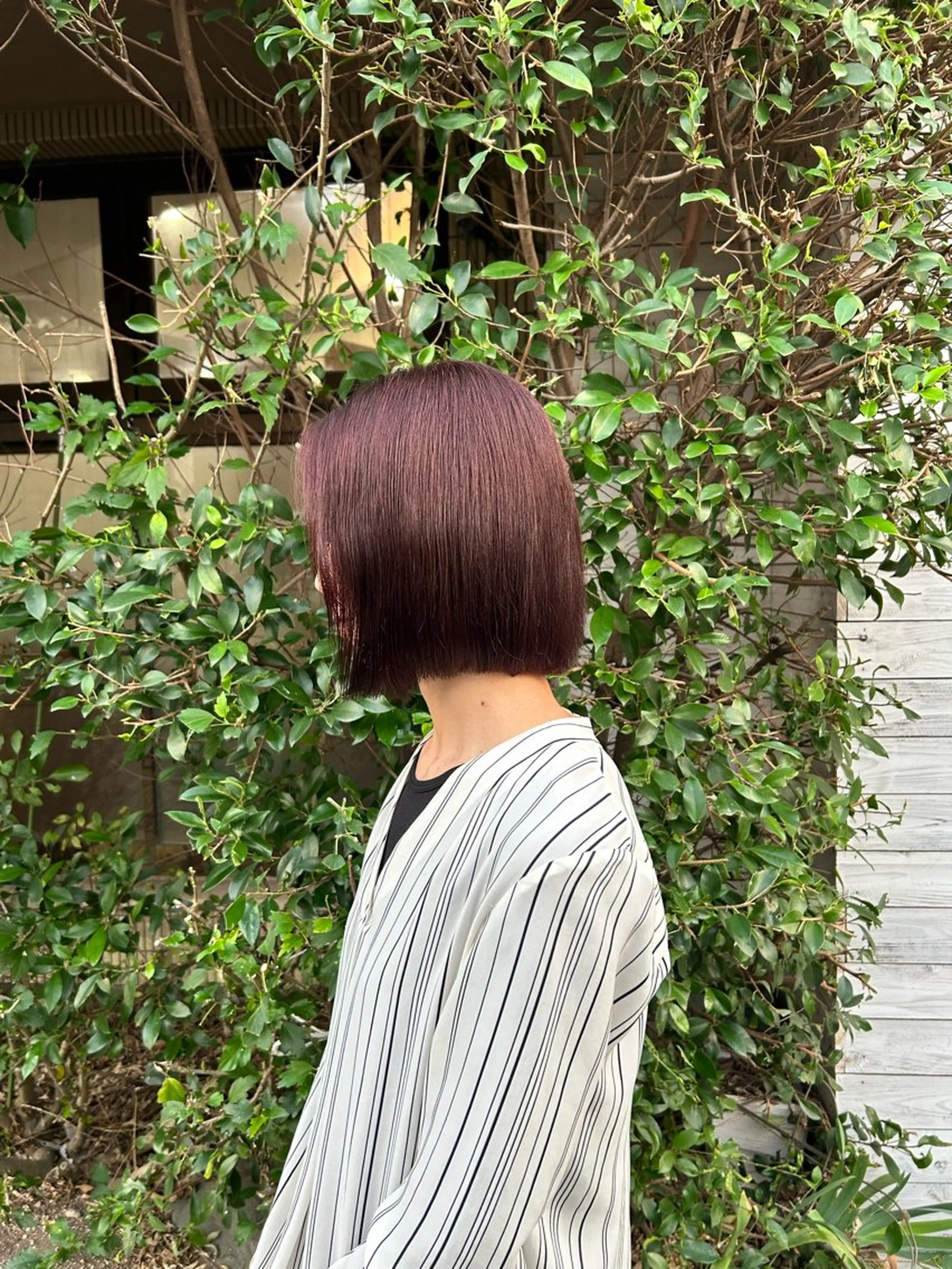 ミディアム カラー カシス カット ヘアカラー トリートメント STORY所属・story 増田 わかなのヘアスタイル