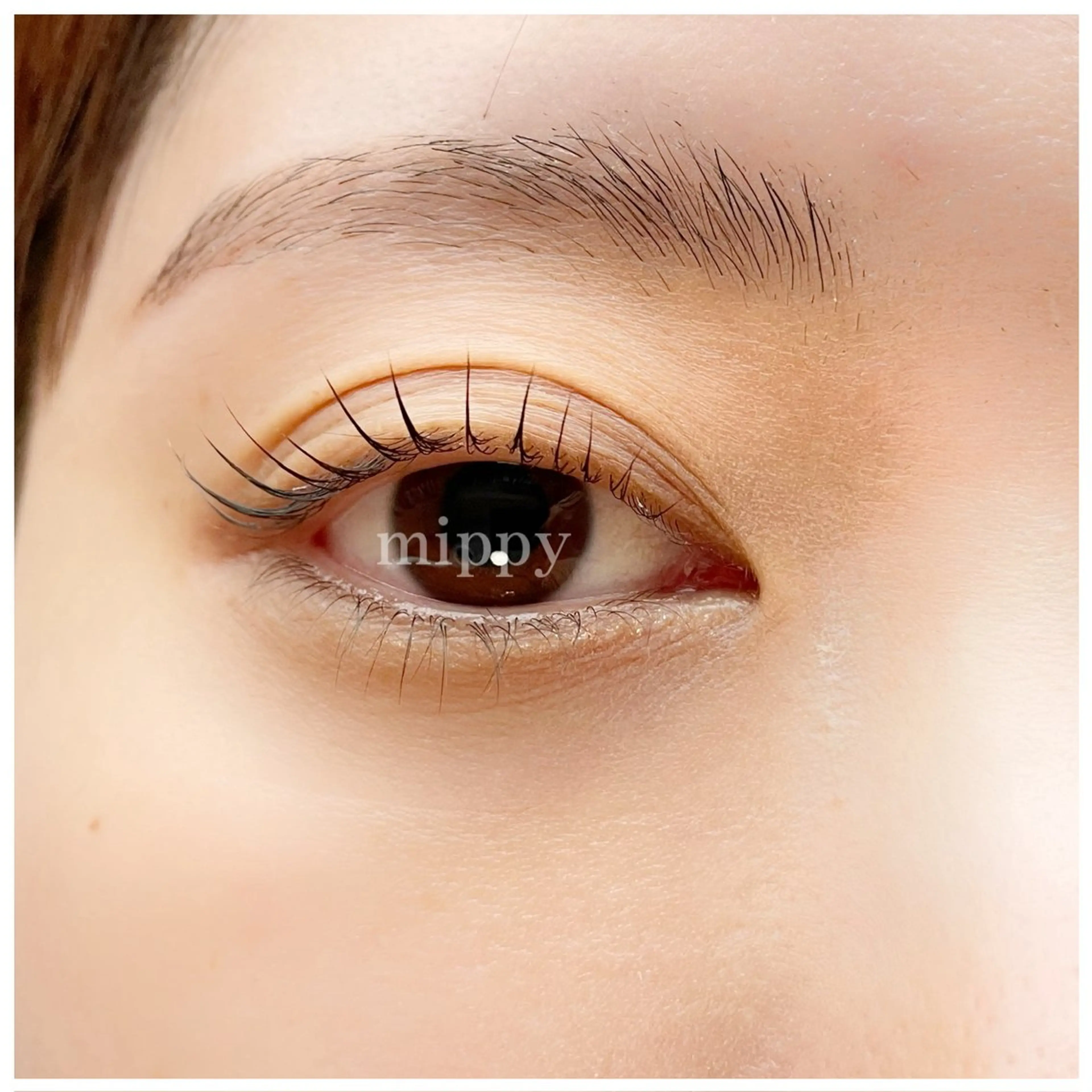 マツエク・マツパ マツパ ｍｉｐｐｙ 🪽のマツエク・マツパデザイン