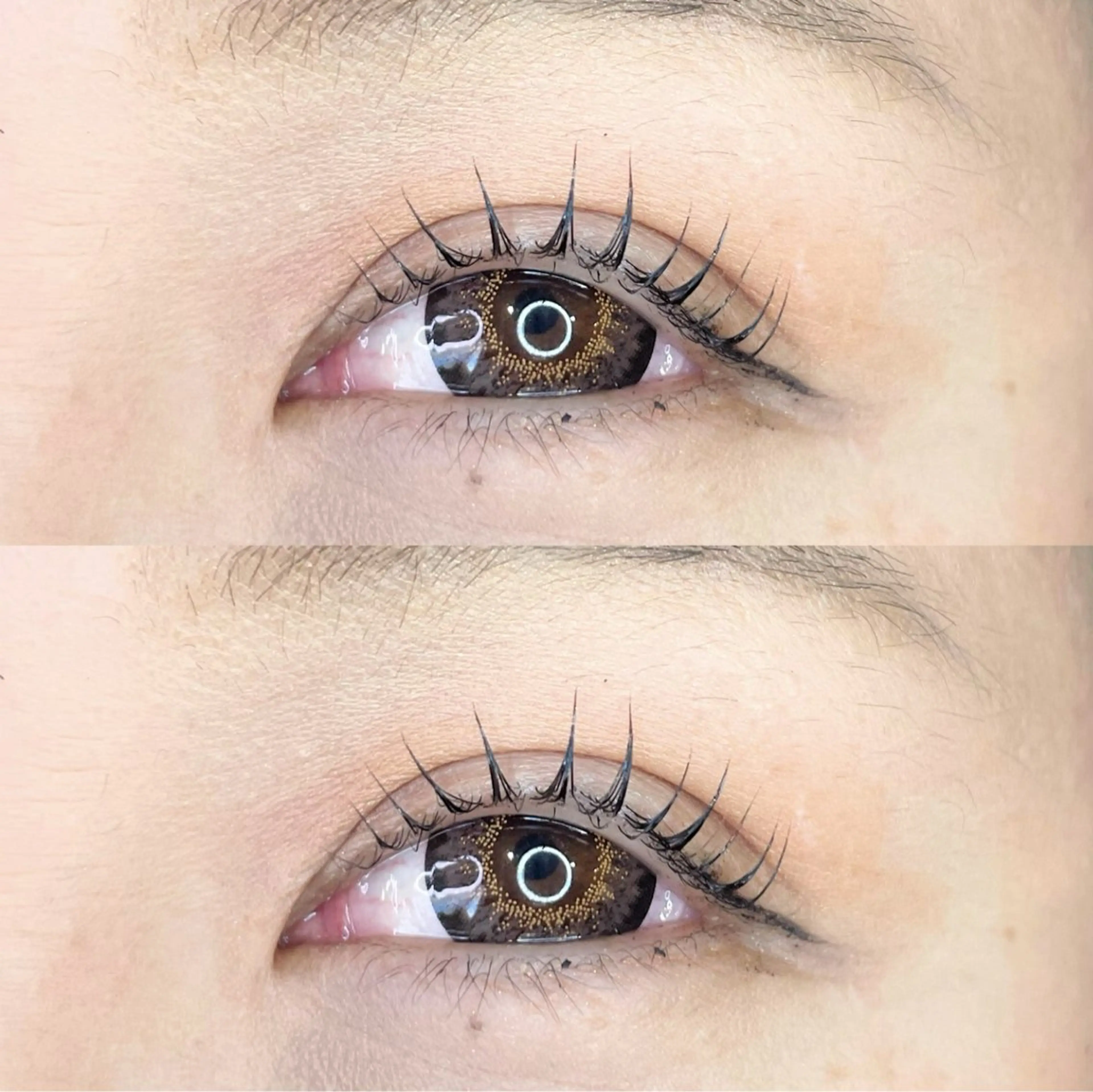 マツエク・マツパ マツパ Clair もりたにのマツエク・マツパデザイン