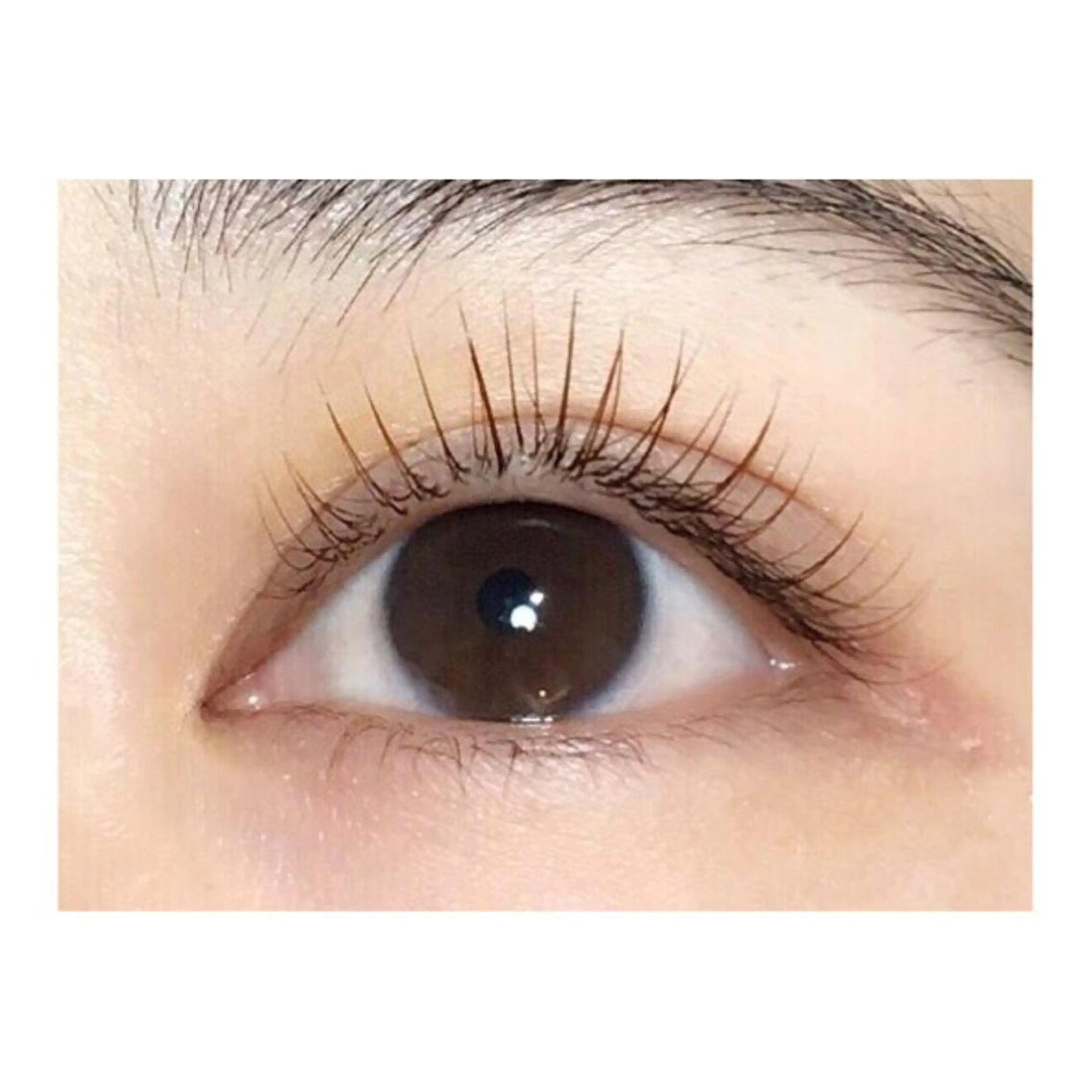 マツエク・マツパ マツエク ANNE梅田 GRACE店所属・ANNE chizuのマツエク・マツパデザイン