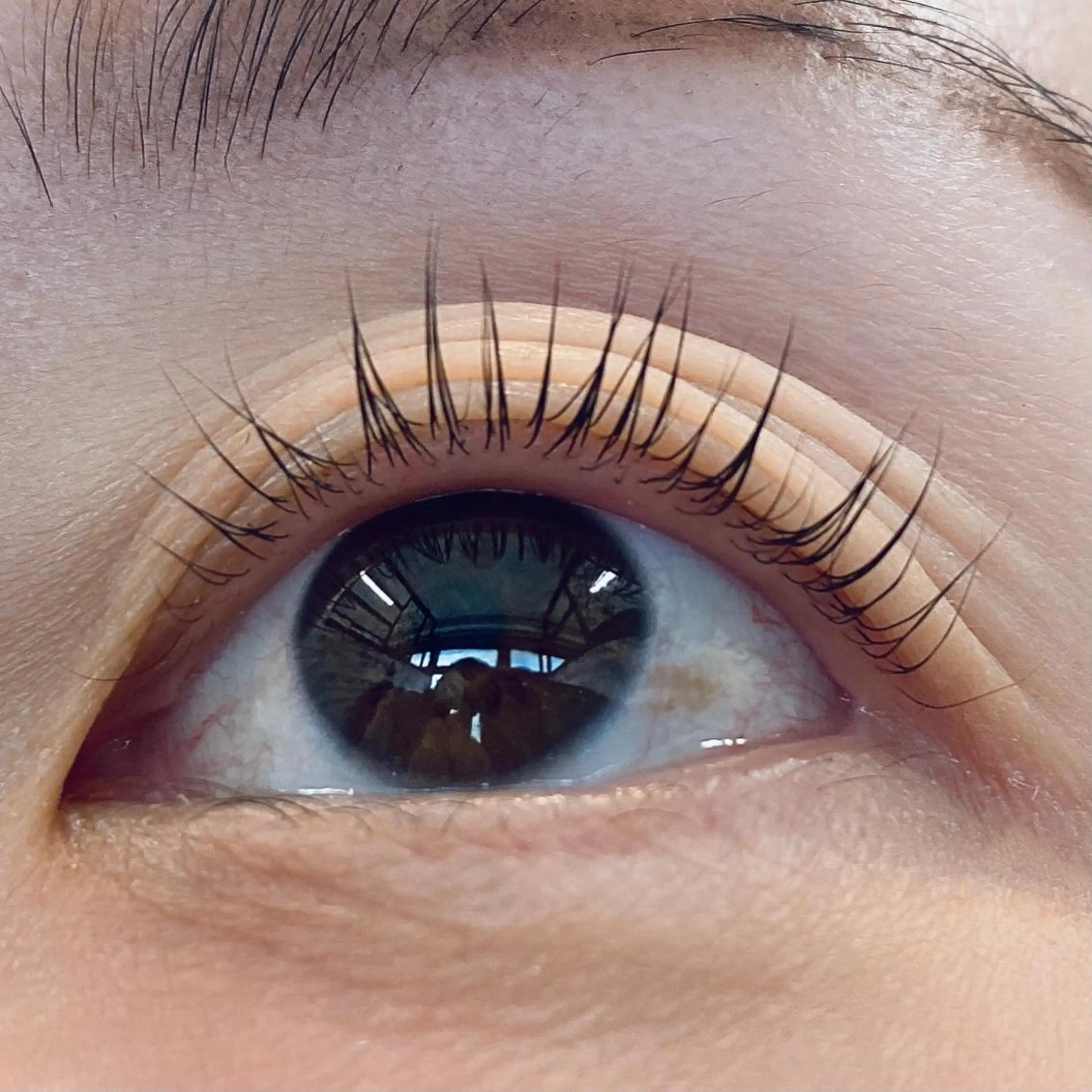 ⚠️練習モデル⚠️まつげパーマ⭐️ケラチンを導入して優しくカール✨ケラチンラッシュリフトの写真