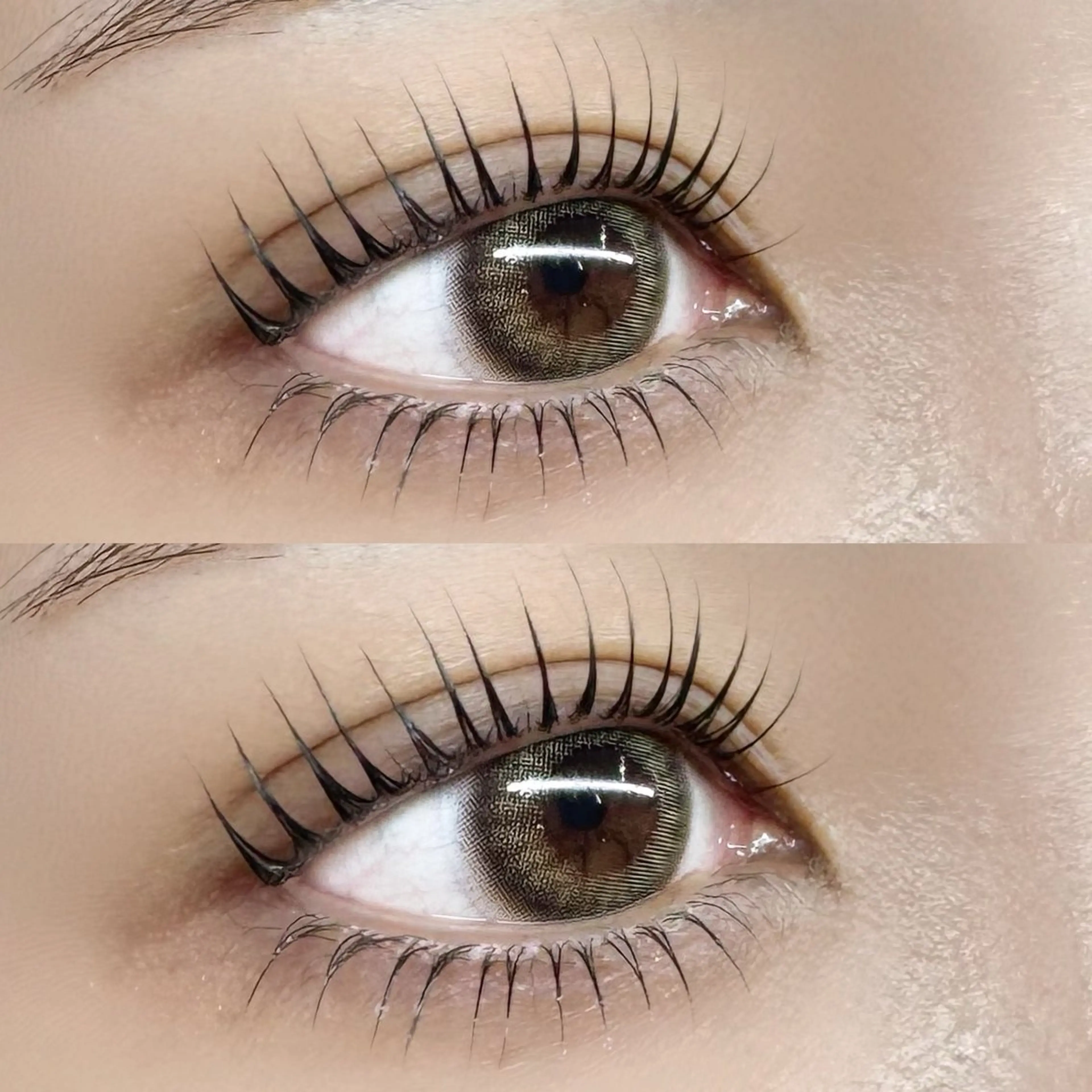 【ご新規様限定】目の縦幅UP！上下パリジェンヌ✨の写真