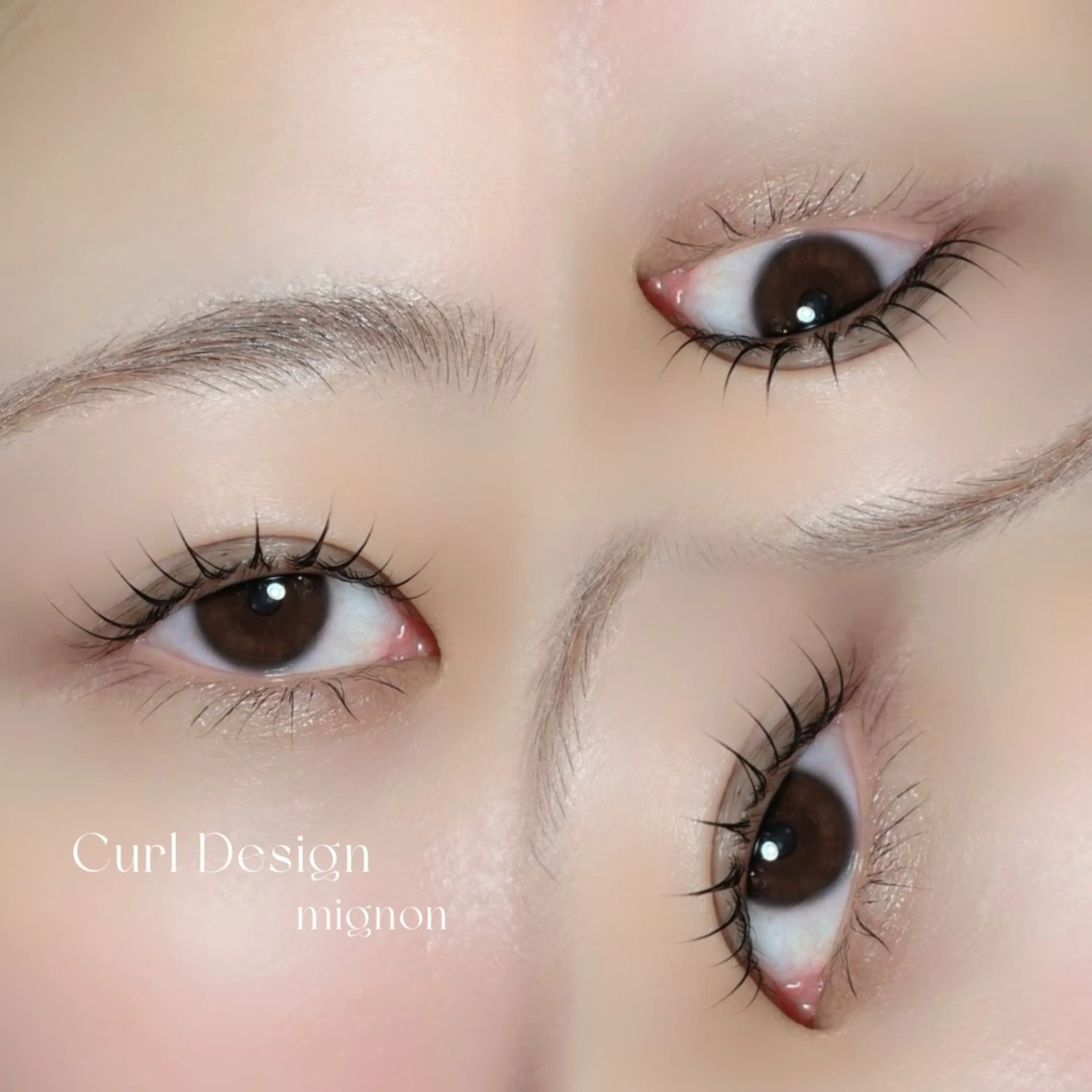 学割❕【似合わせまつげパーマ🎀】の写真