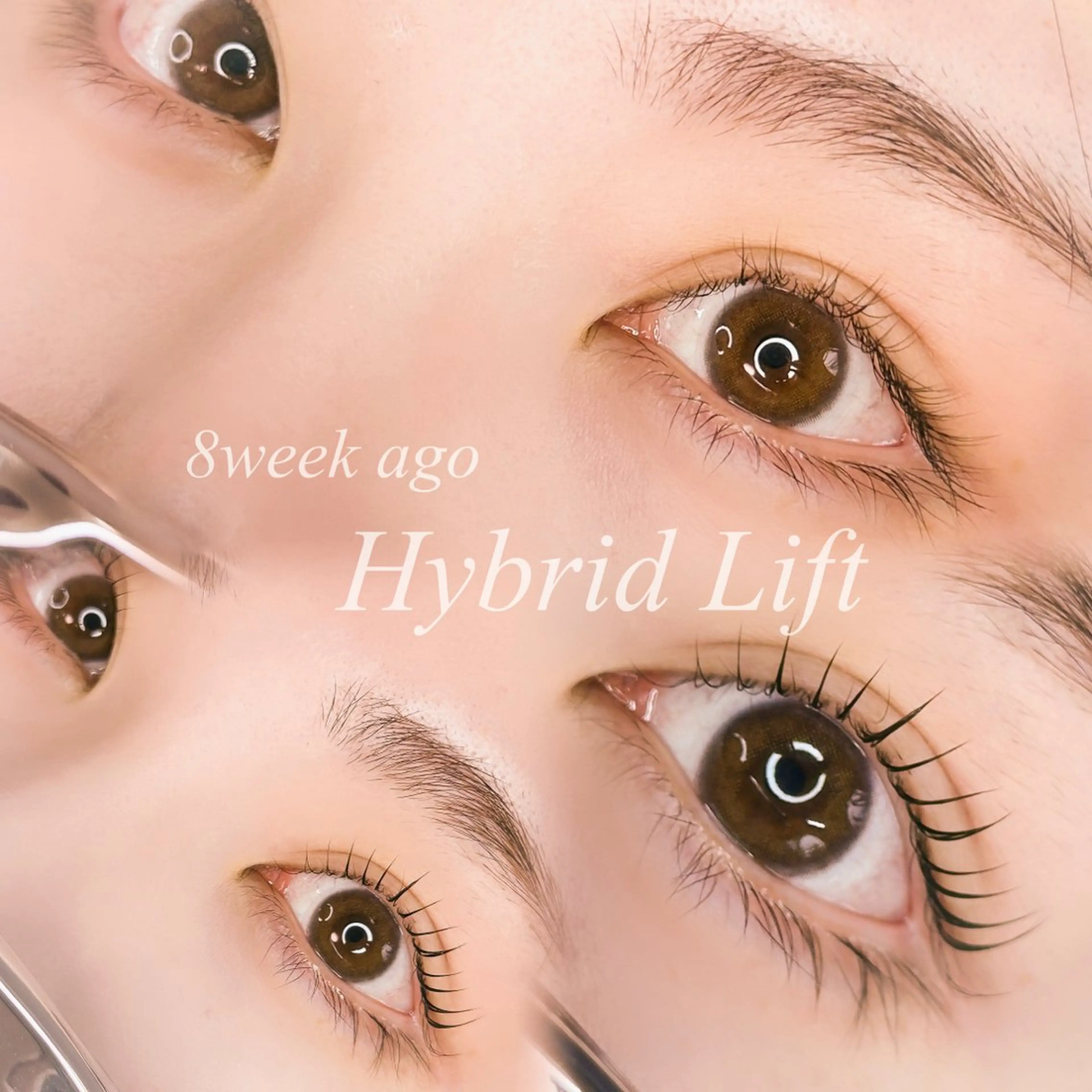 【ミニモ限定価格】似合わせまつ毛パーマ(TR.シャンプー付)の写真