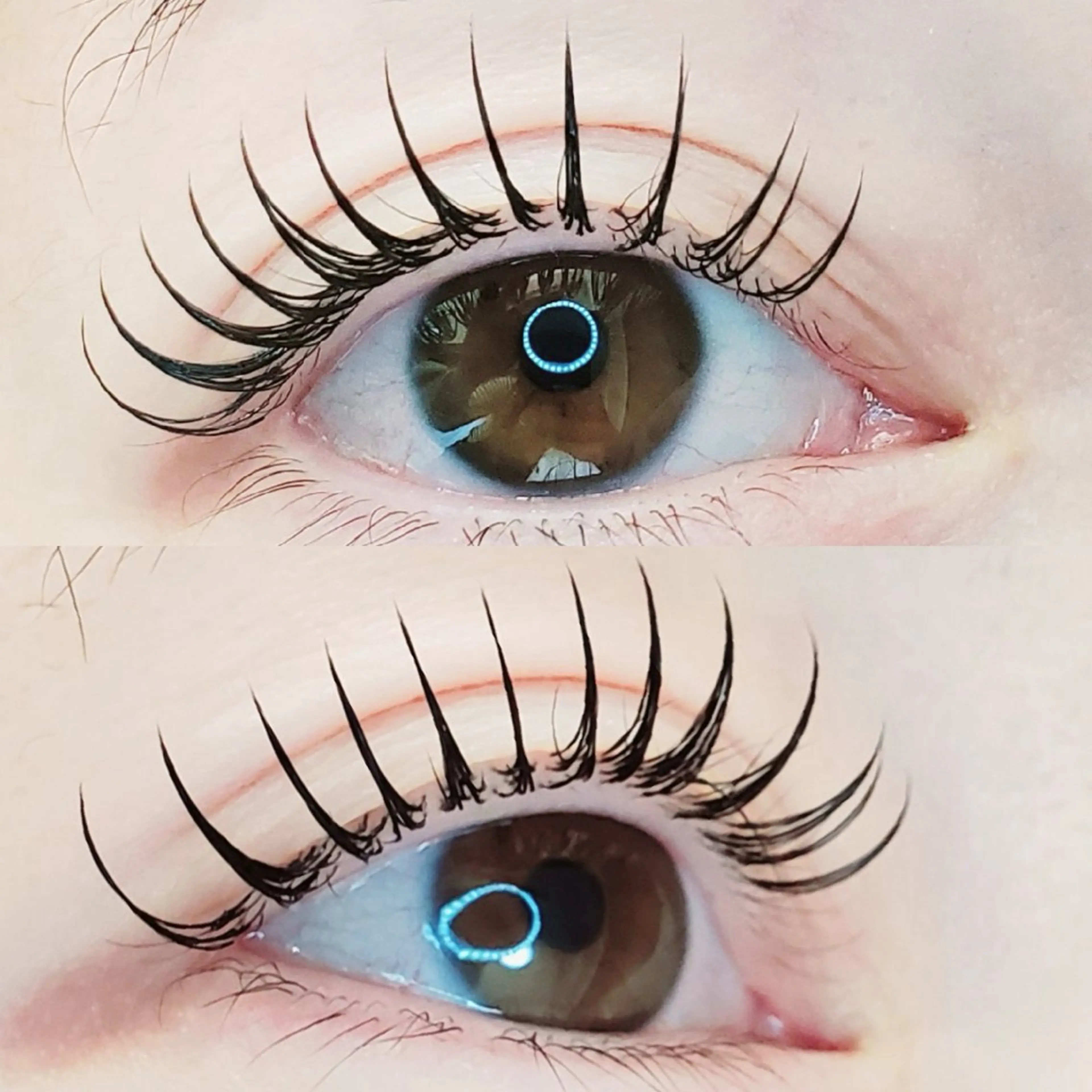 【1日5名様限定】🧡似合わせパーマ🧡の写真