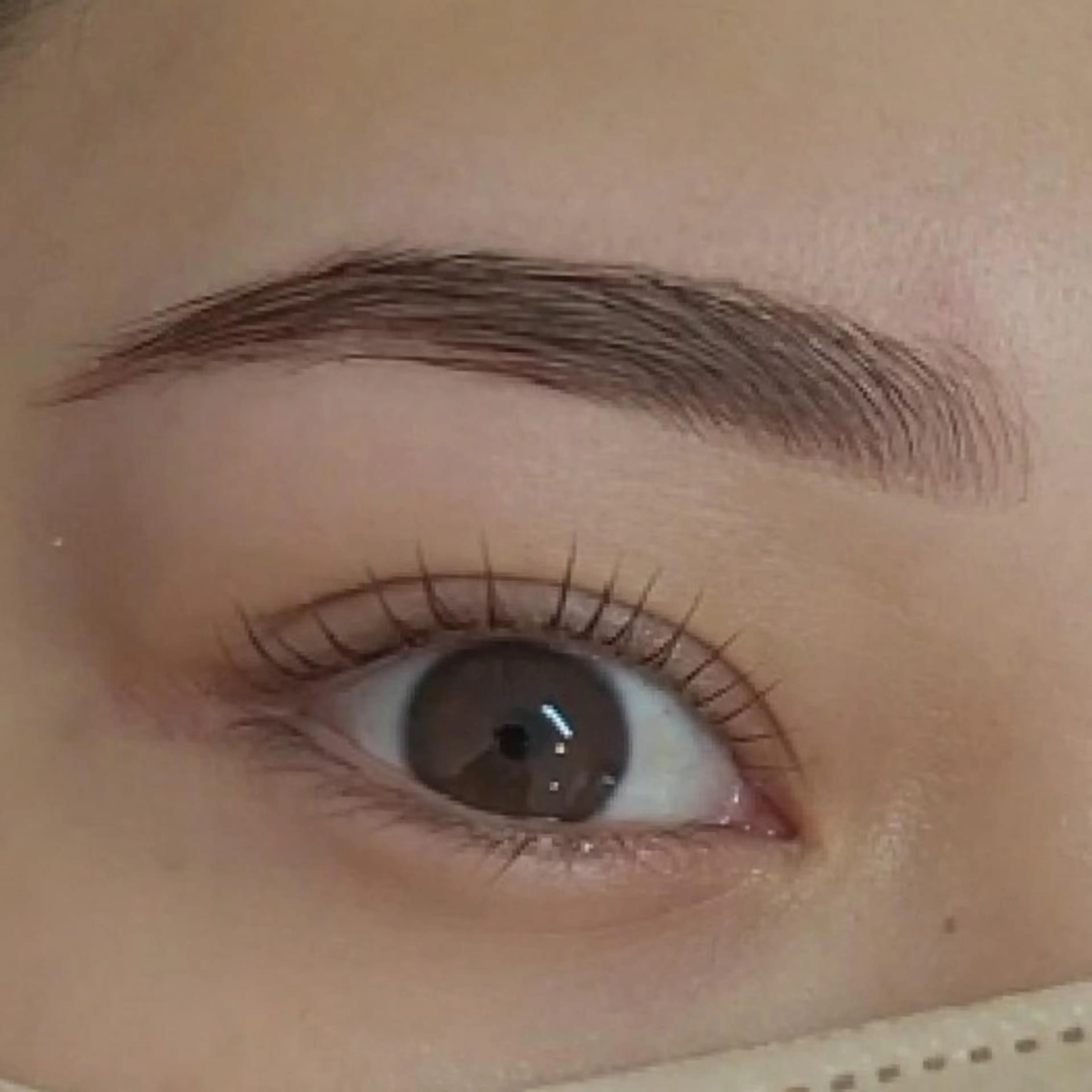 完璧眉毛❣️美眉WAX脱毛➕毛流れパーマの写真