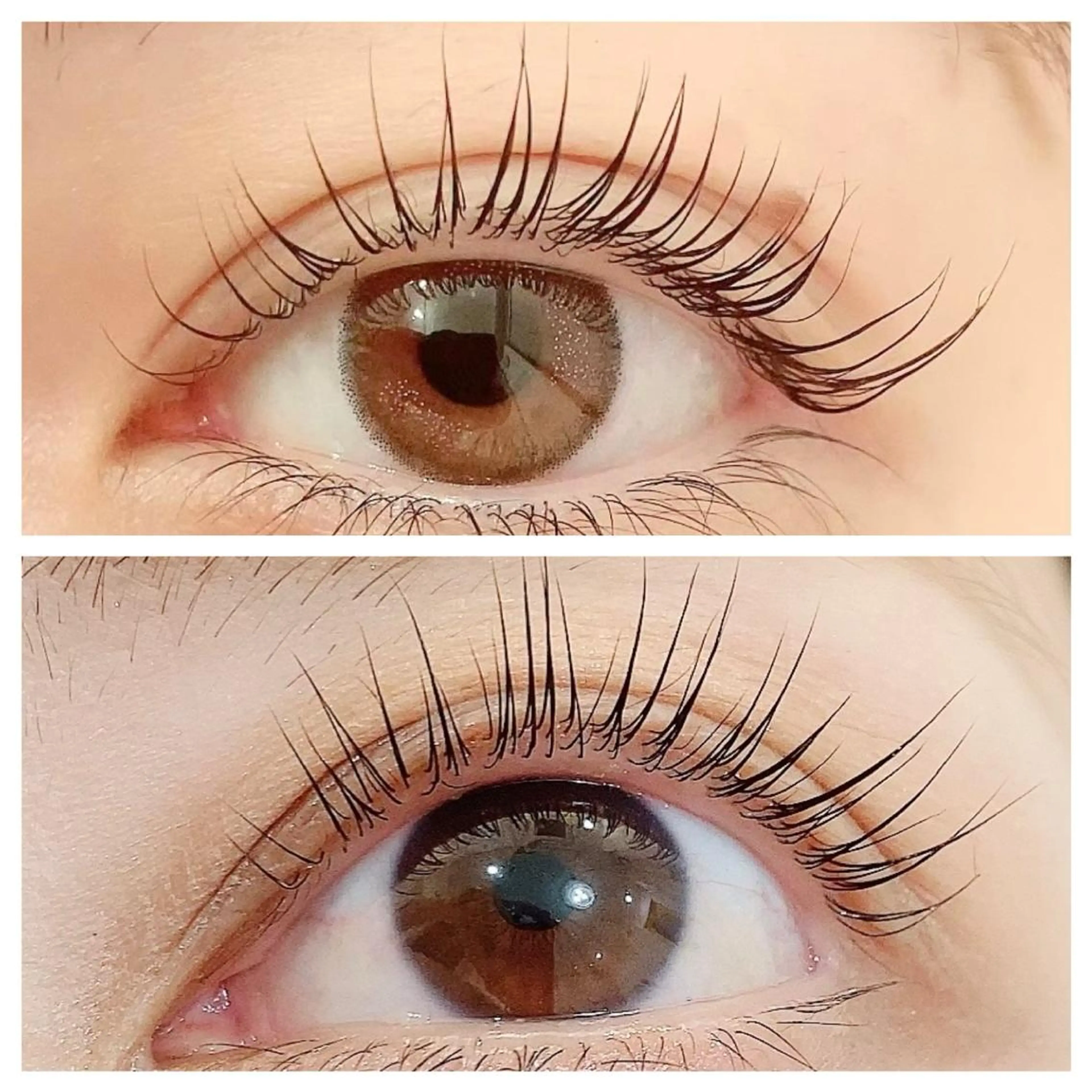 【平日16時までお得👭】2名様まつ毛パーマ♪11000円→7700円（1人3850円）【日時要問い合わせ】の写真