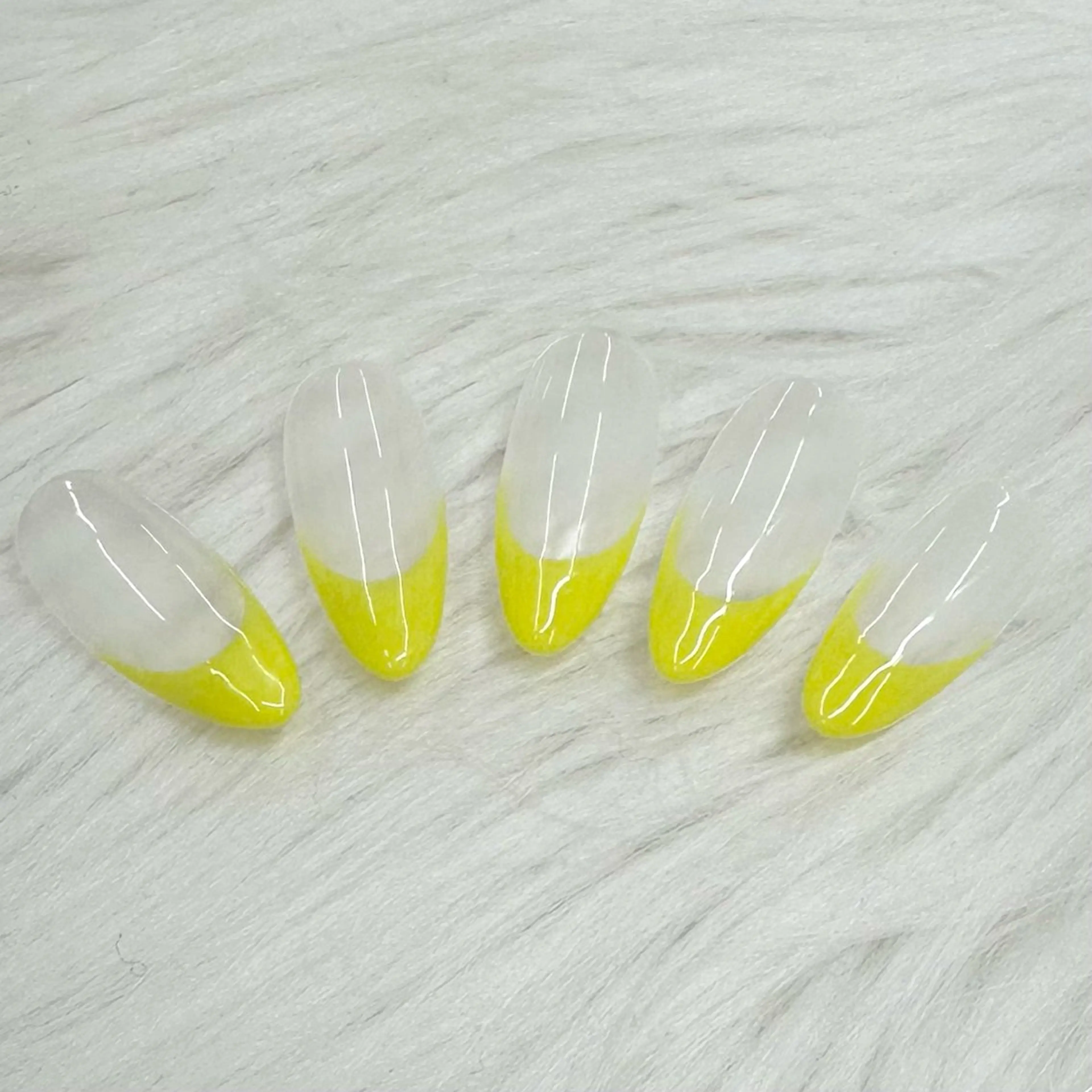 【ずっとオフ無料🎶】フレンチの写真