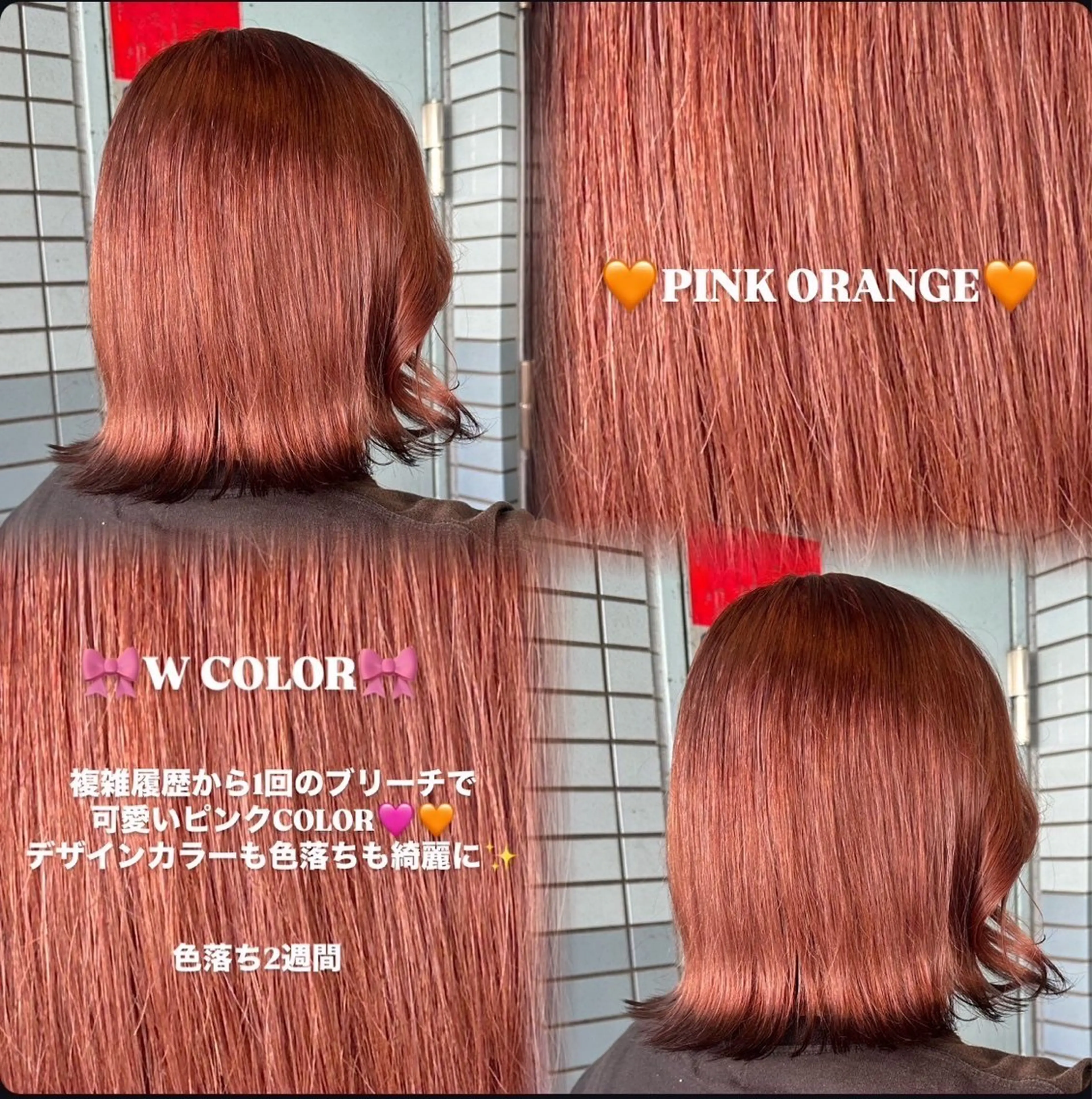 カラー オレンジ ピンクカラー 田中 友紀乃 /D.Graceのヘアスタイル