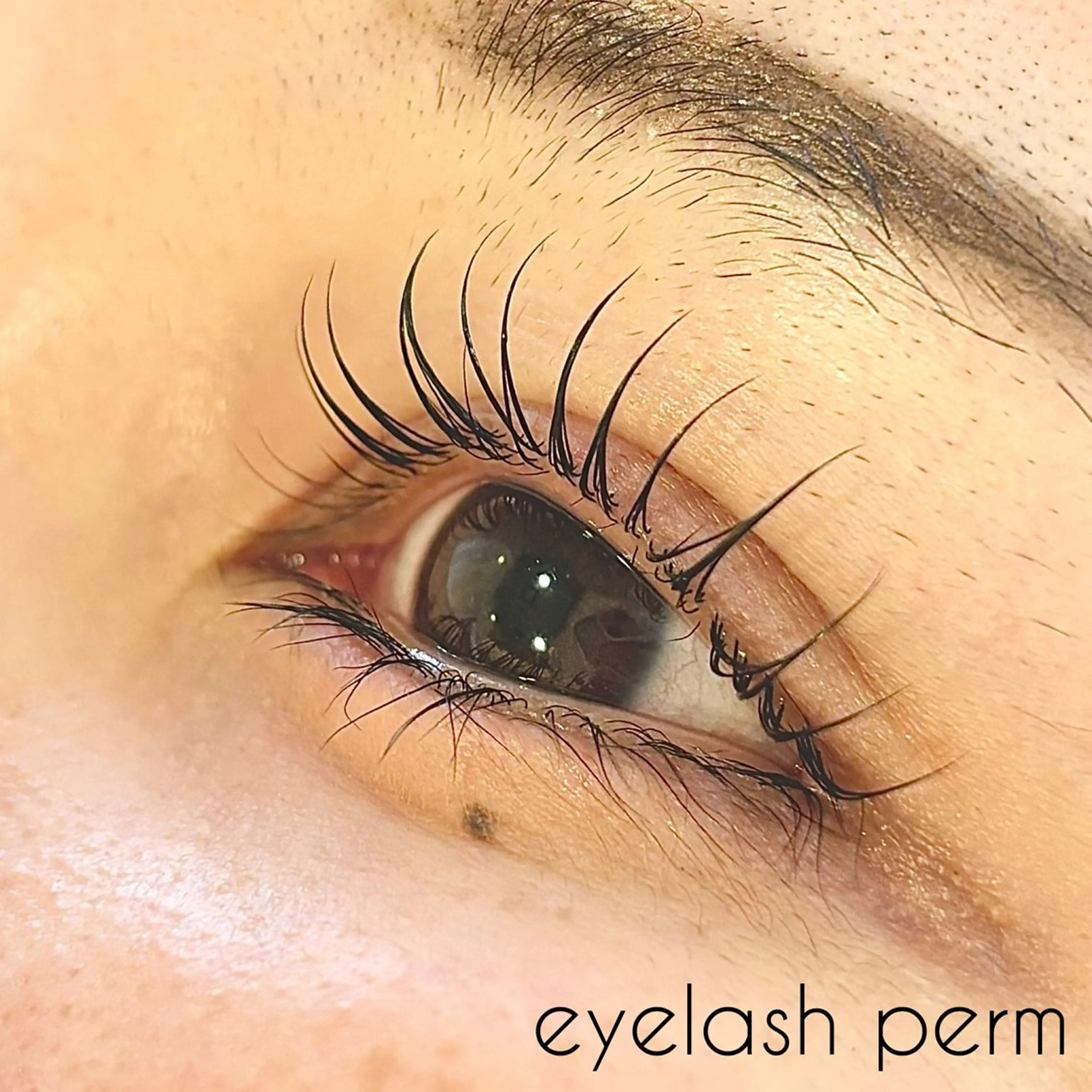 マツエク・マツパ パリジェンヌラッシュリフト ✧elpatio✧︎ 小出紗羅のマツエク・マツパデザイン