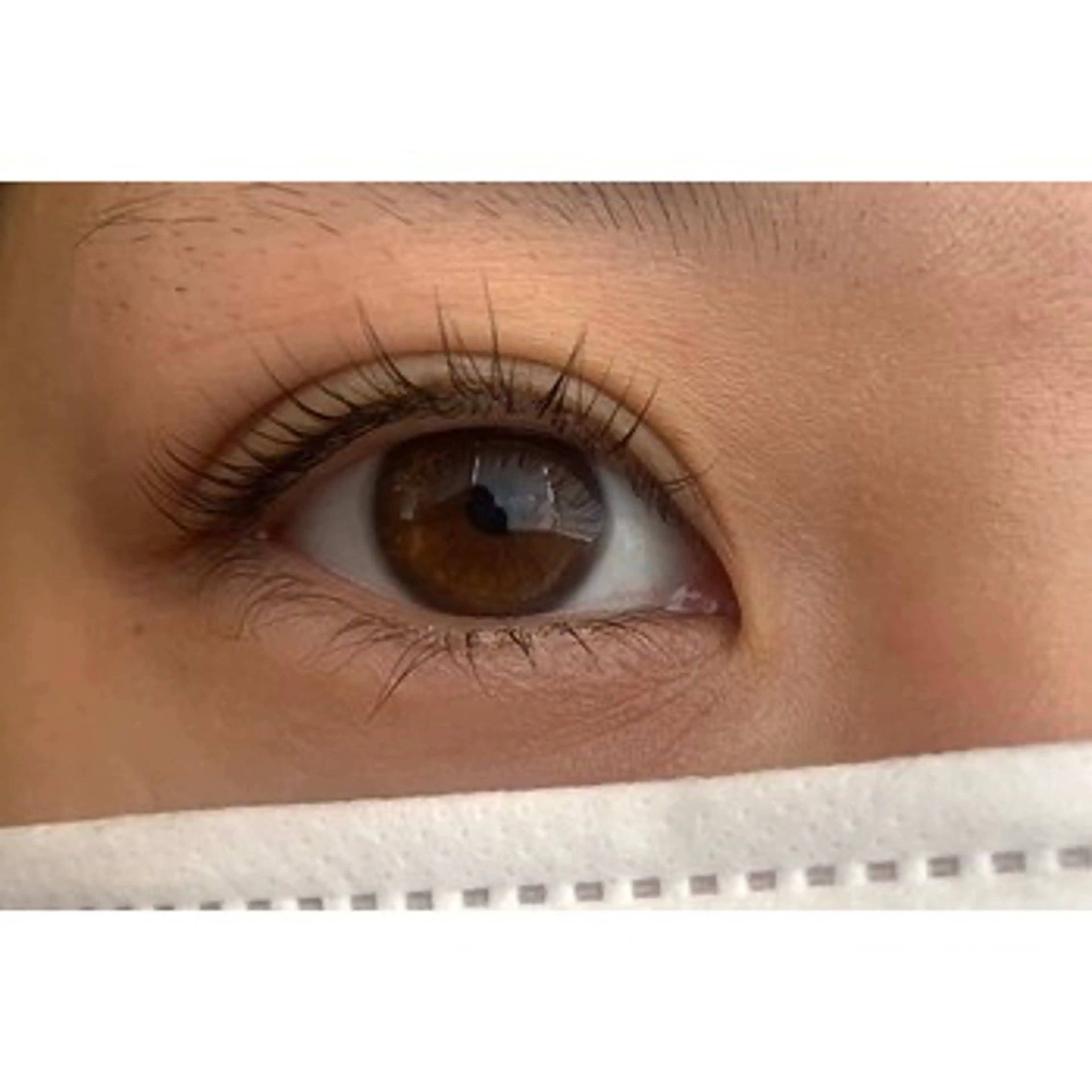 【ご新規様】🦋フラットラッシュ🦋80本の写真