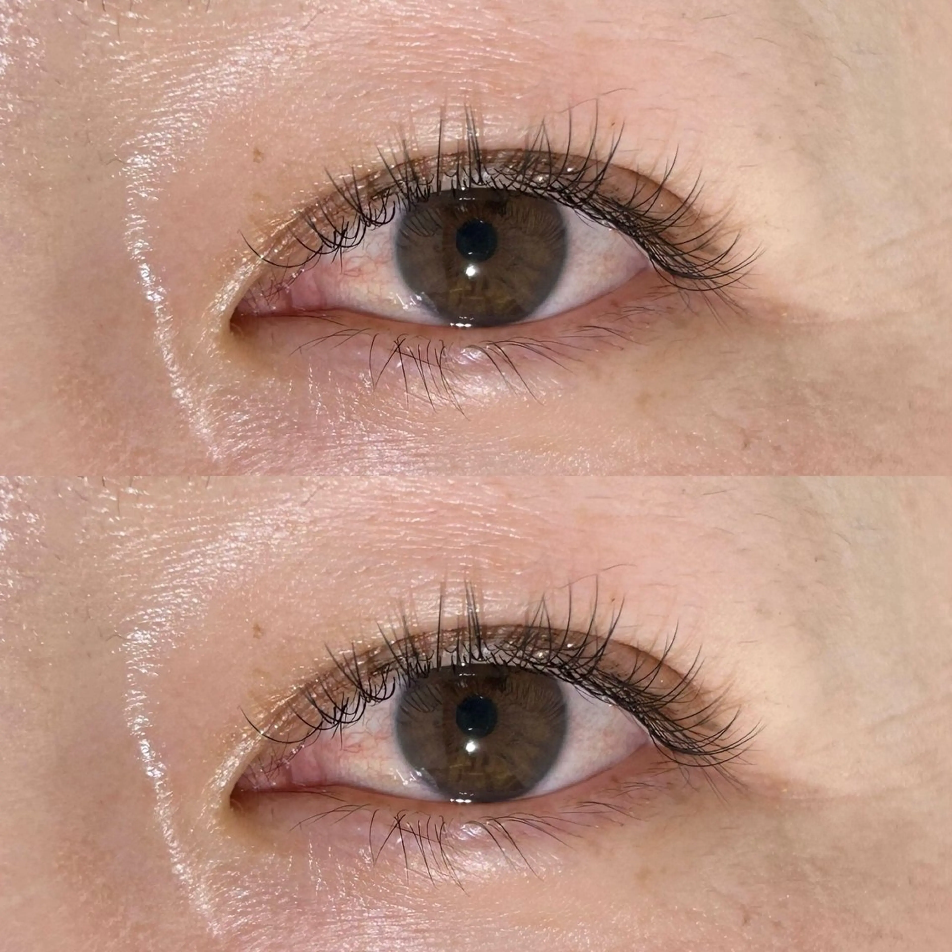 マツエク・マツパ Cカール フラットラッシュ ナチュラル olea by ahnkism（オリバイアンキシム）所属・olea byahnkismの眉毛・アイブロウイメージ