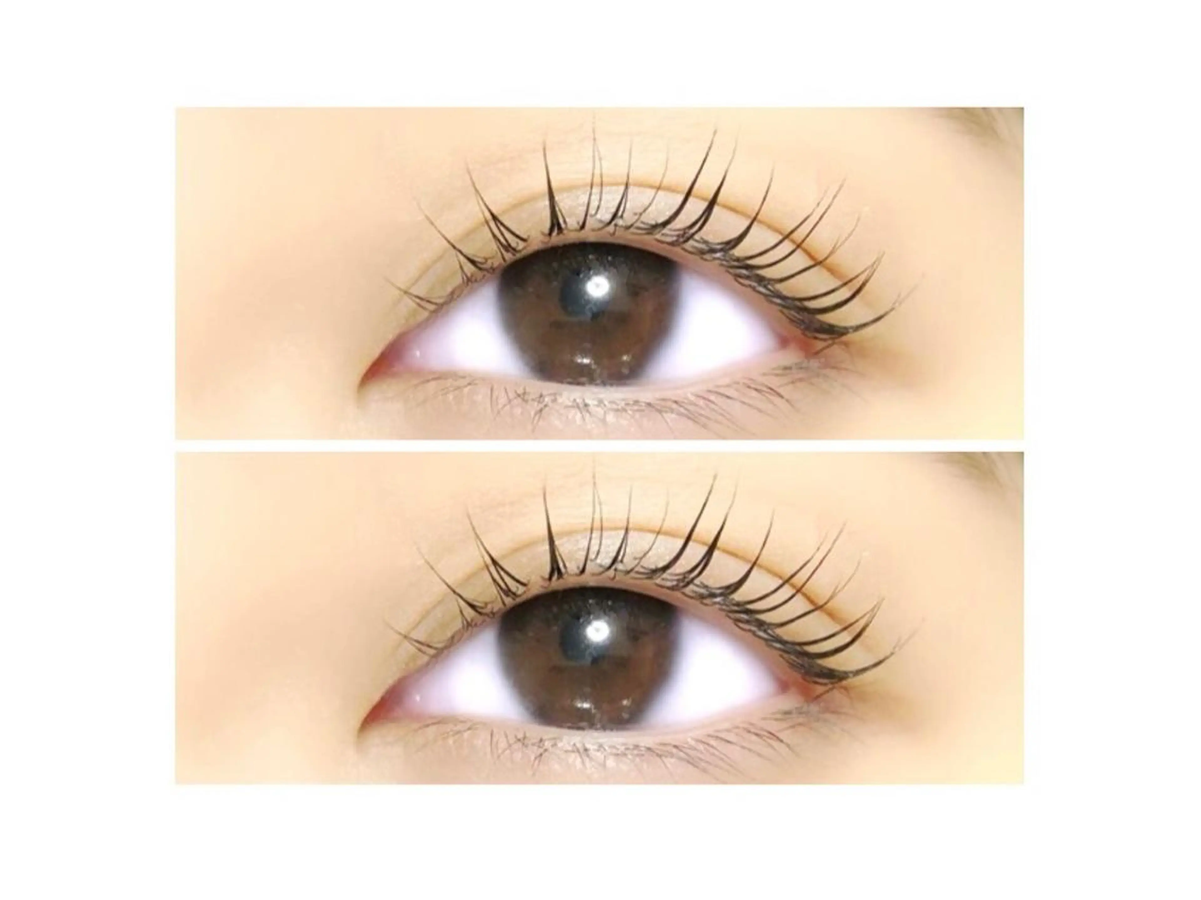 マツエク・マツパ まつげパーマ RAZZLE DAZZLEのマツエク・マツパデザイン