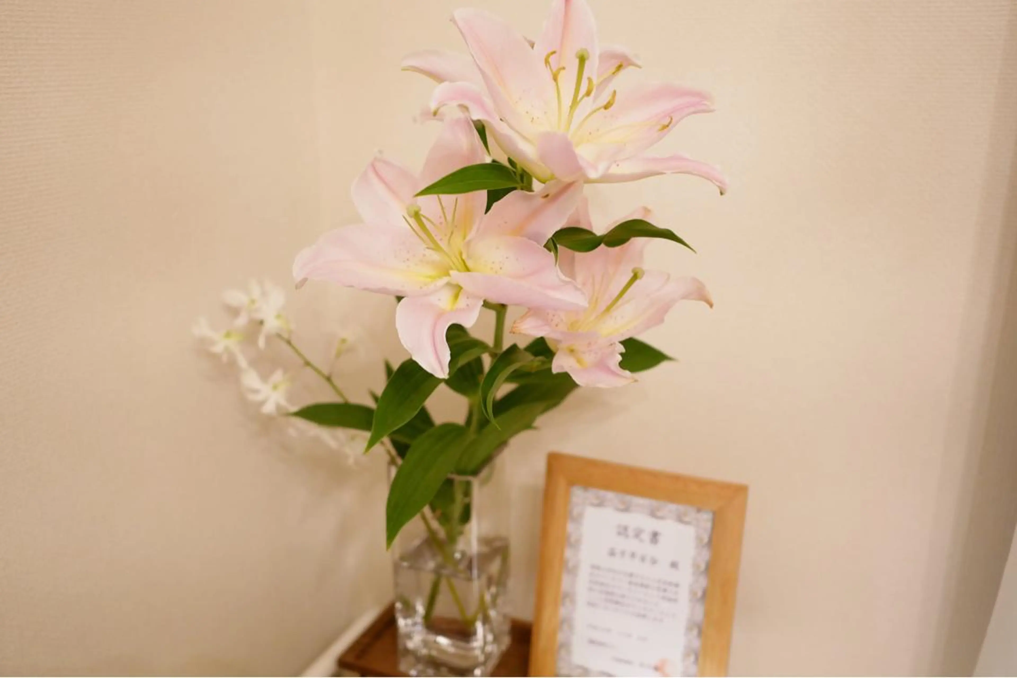 ショート マツエク・マツパ ニキビ跡専門サロン Ａｉｎａのエステ・リラクイメージ