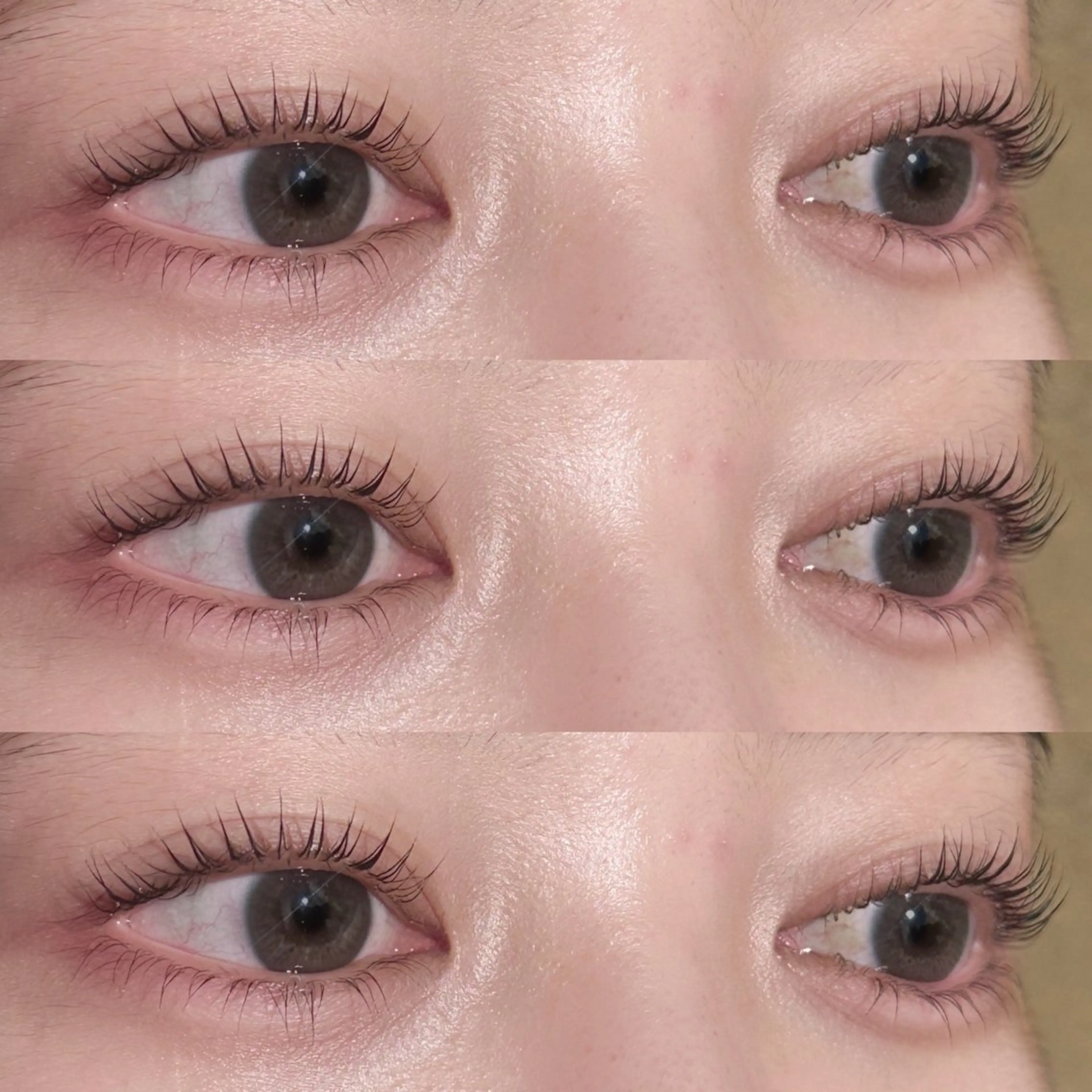 マツエク・マツパ パリジェンヌラッシュリフト マツパ lit.🤍 kiyoneのマツエク・マツパデザイン