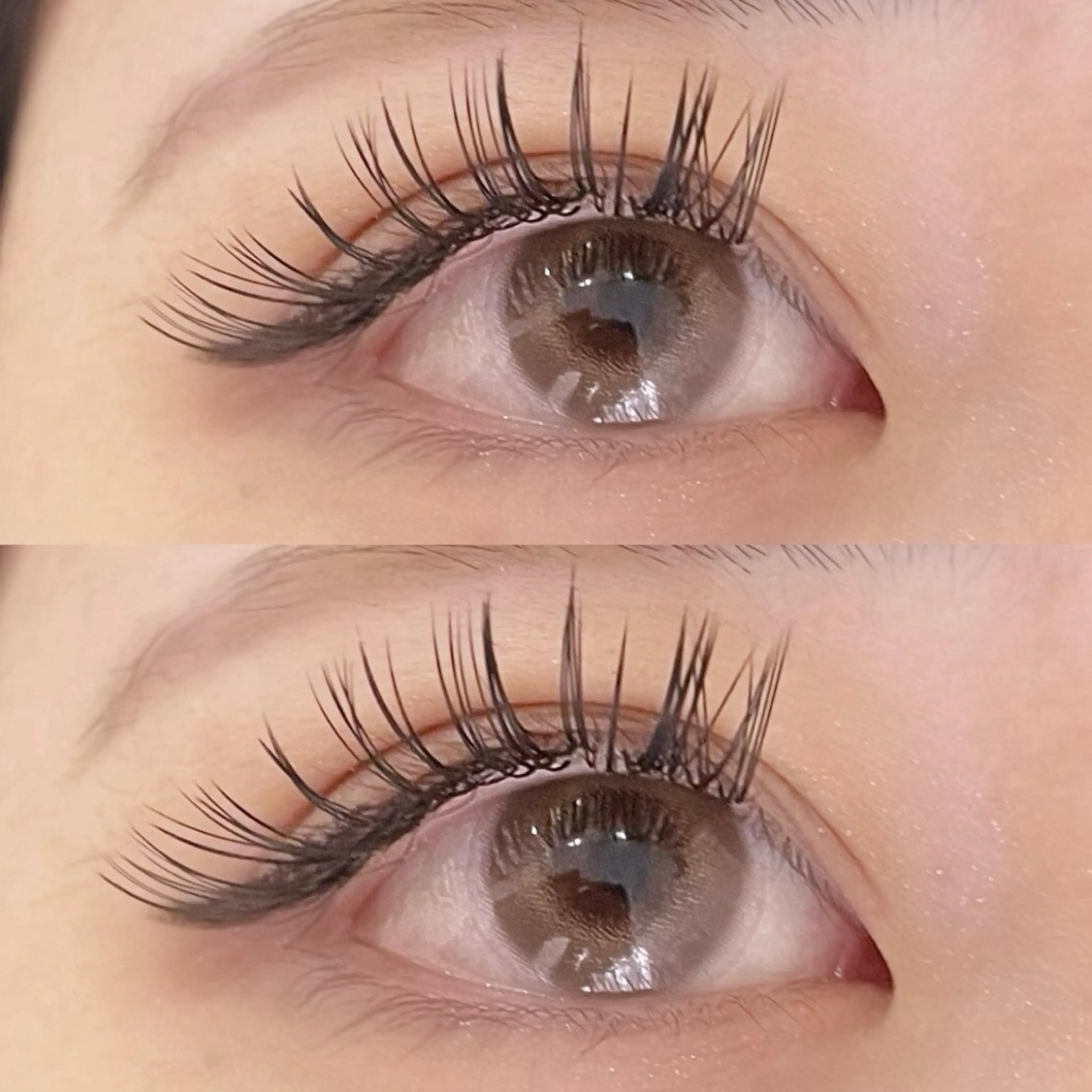 人気NO.1☆彡ダブルフラット80束(160本)オフ込み❣️(オフ必須)の写真