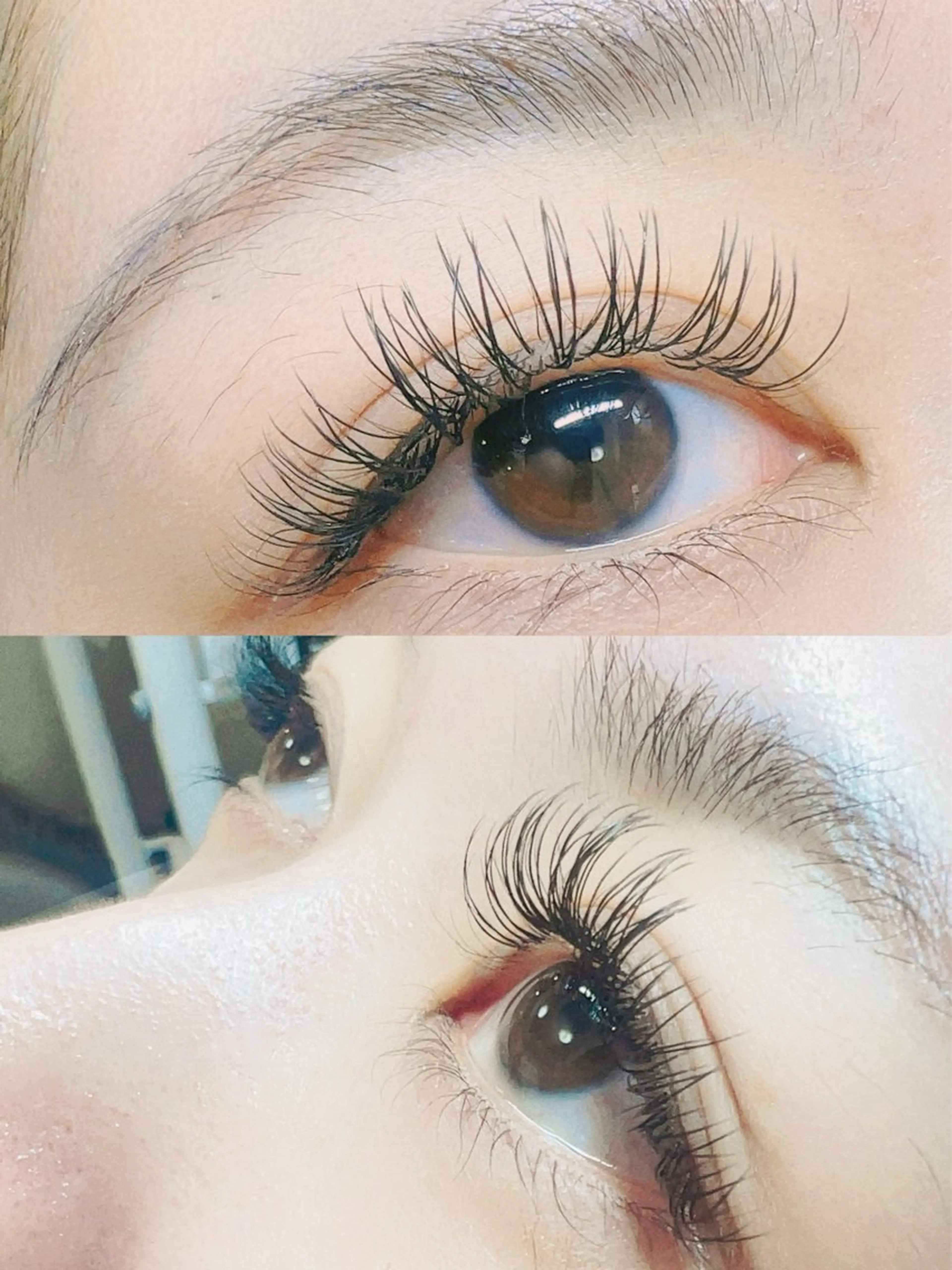 🌻フラットラッシュ🌻120本の写真