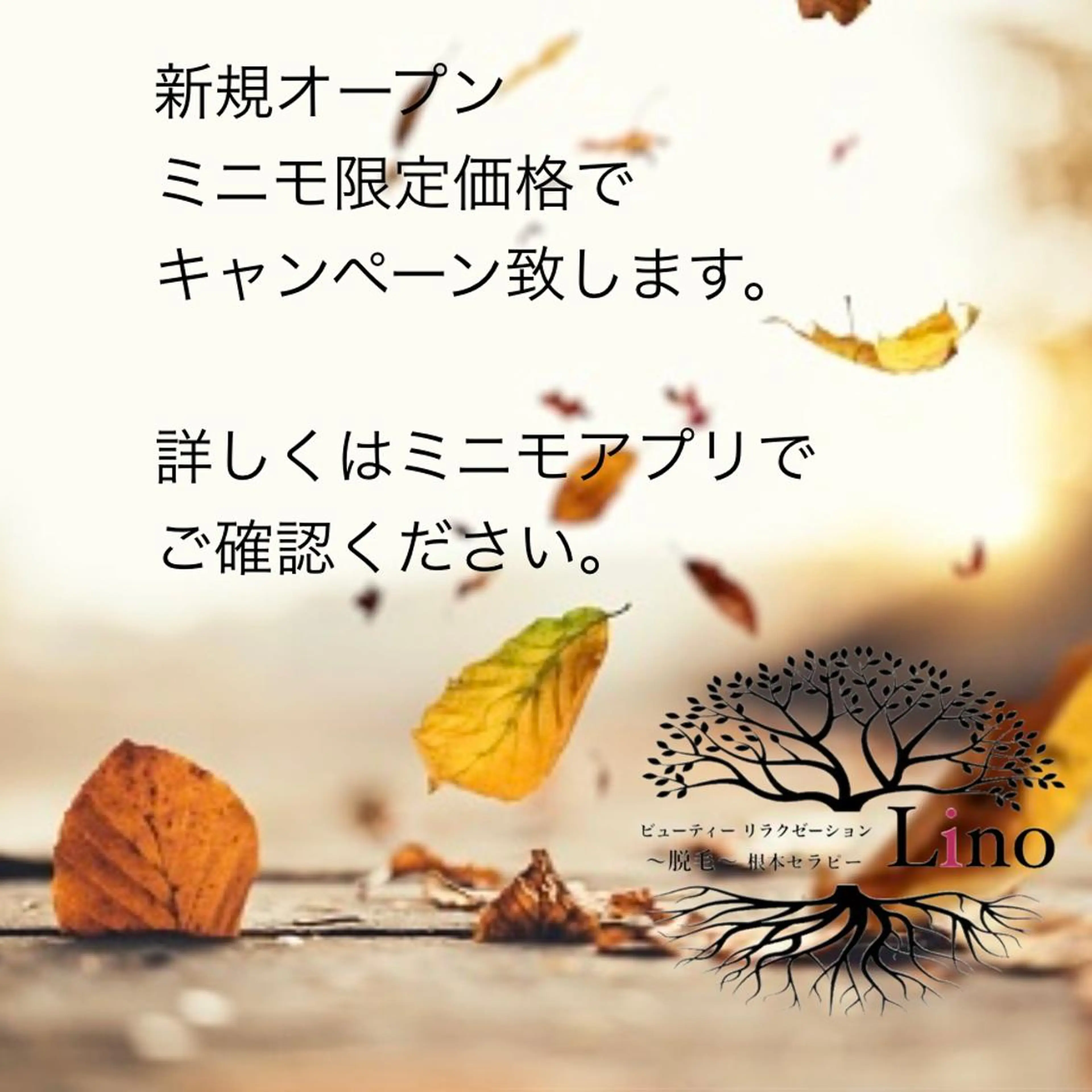 Lino 《リノ》のエステ・リラクイメージ