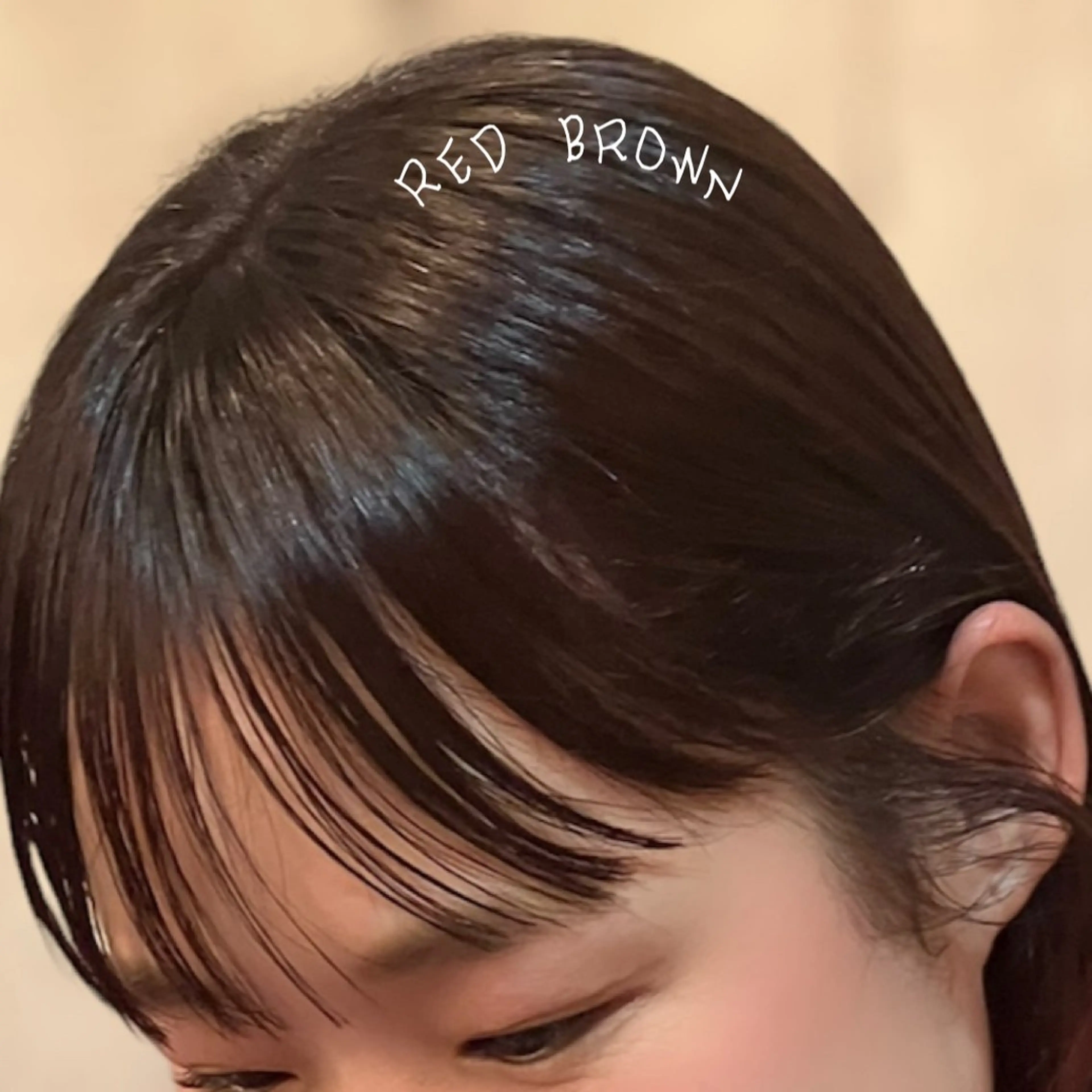 セミロング カラー ブラウンカラー レッドカラー レッドブラウン 天使の輪໒꒱⋆ﾟ 量産中🎀のヘアスタイル