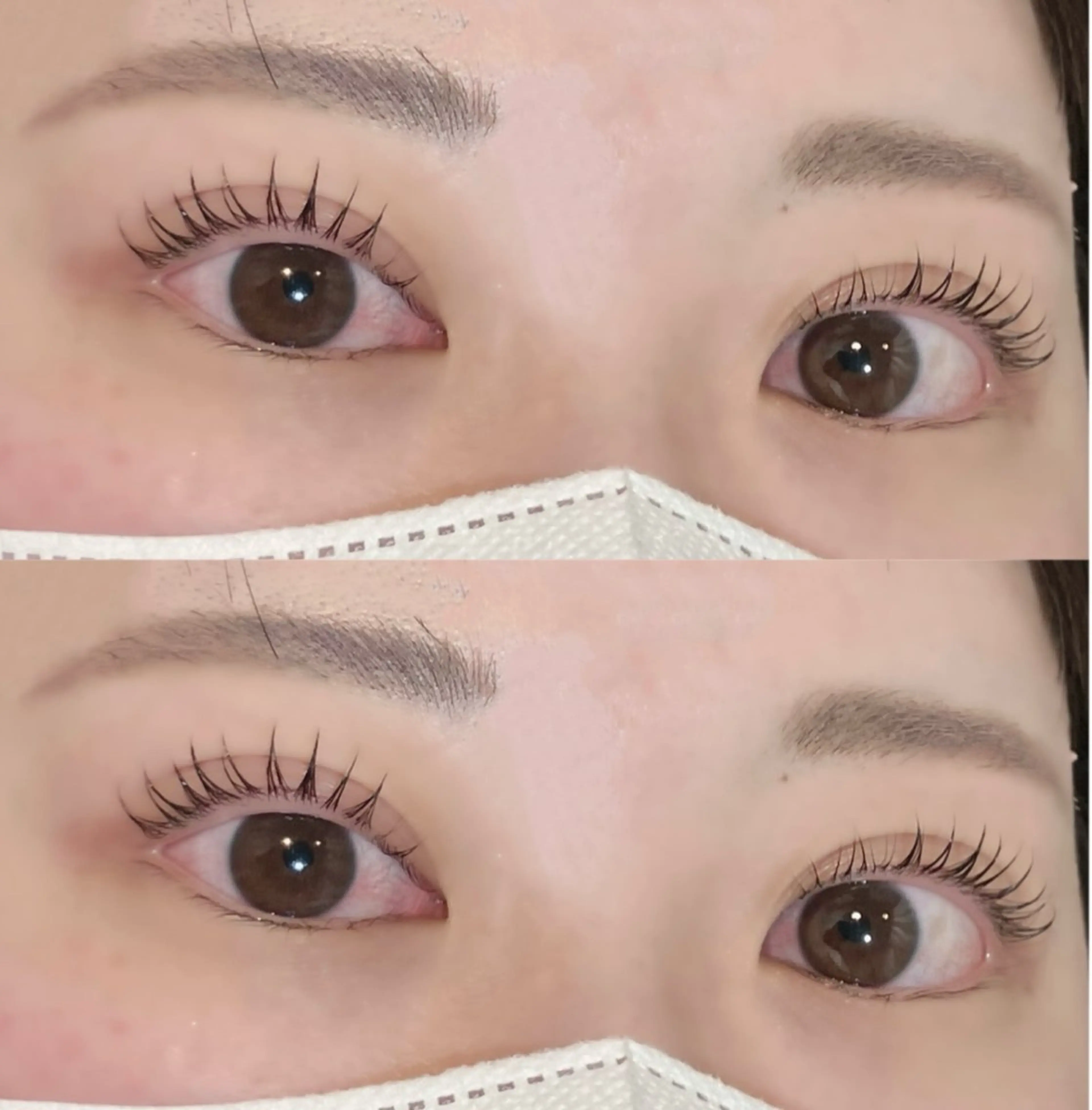 【🤍12月限定🤍】まつ毛パーマ🎀コーティング仕上げ🎀の写真