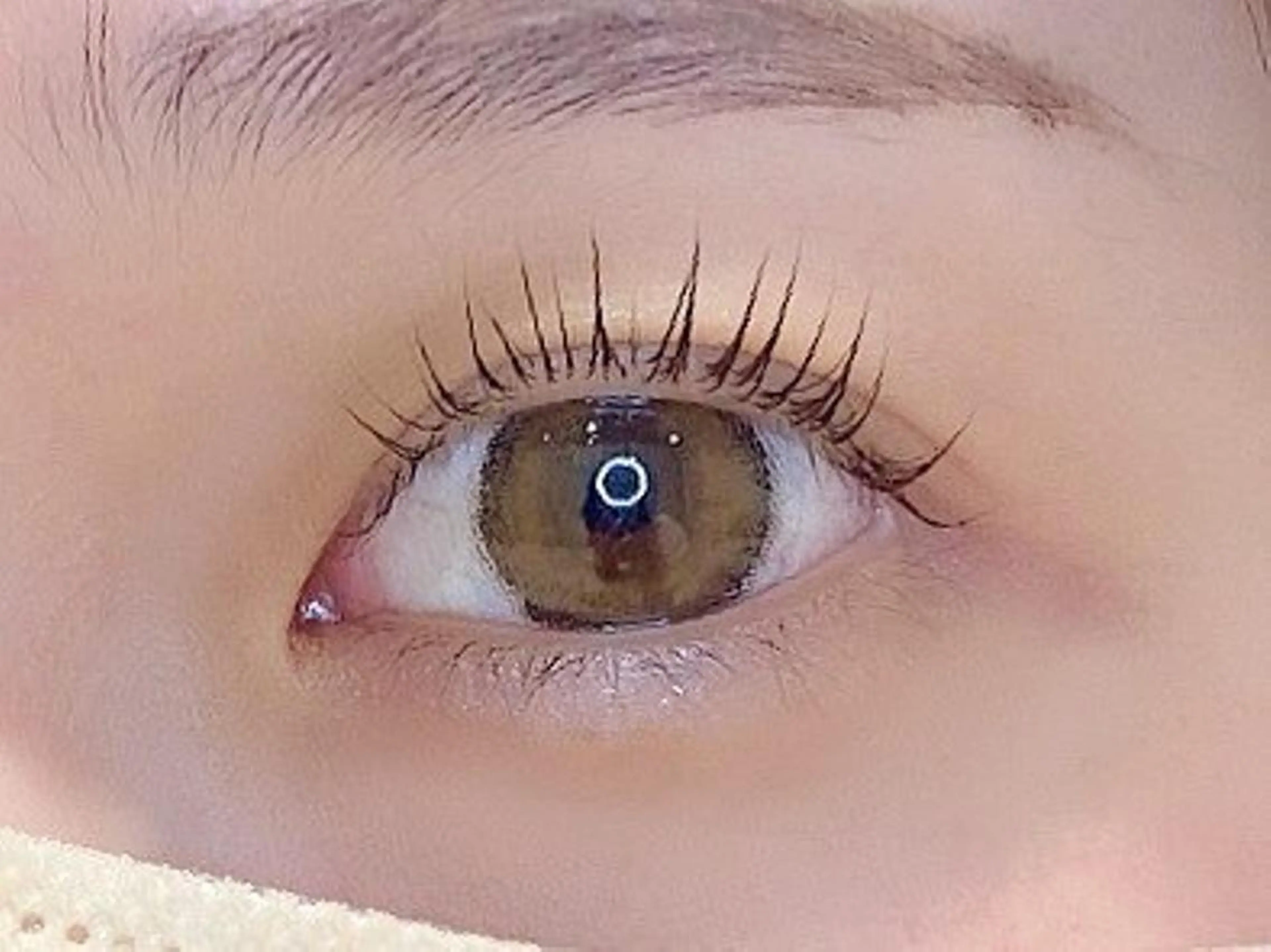 🩶パリジェンヌ+美眉アイブロウ🩶¥11550→¥6600の写真