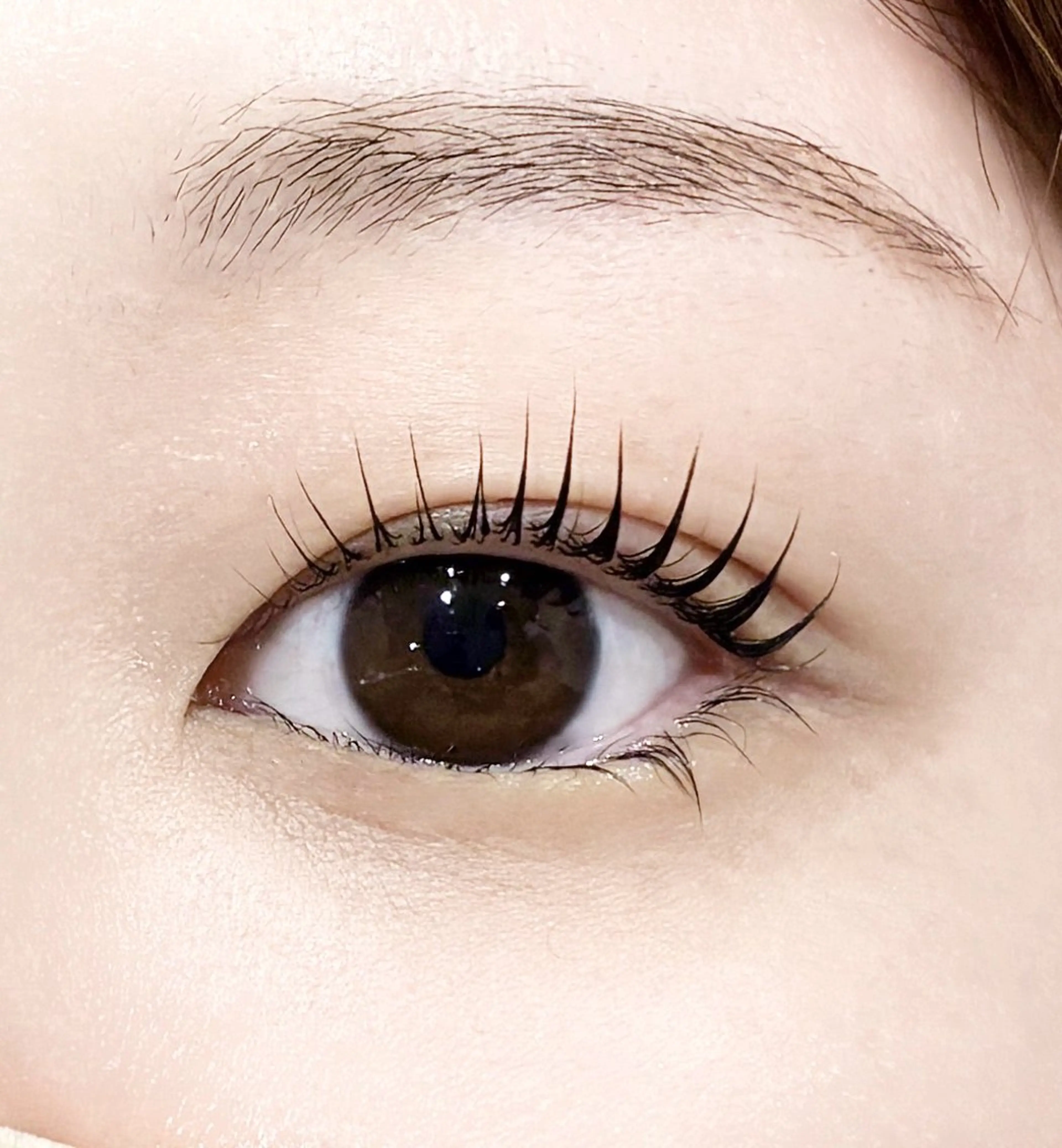 マツエク・マツパ パリジェンヌラッシュリフト 一重×まつ毛パーマ マツパ 【MISAKI】 ALRE♡小山店のマツエク・マツパデザイン