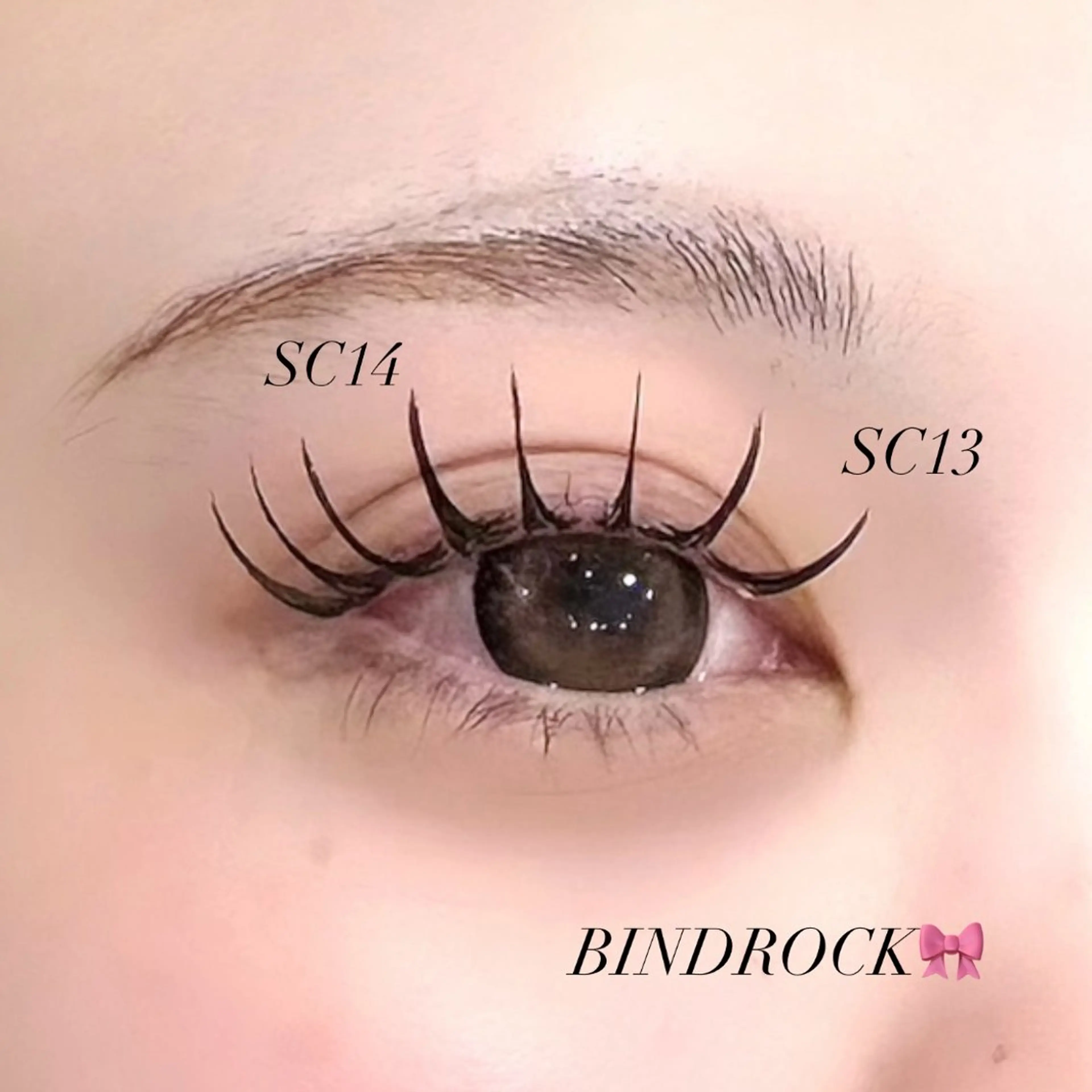 🎀バインドロック🎀 120束⭐️限定価格の写真