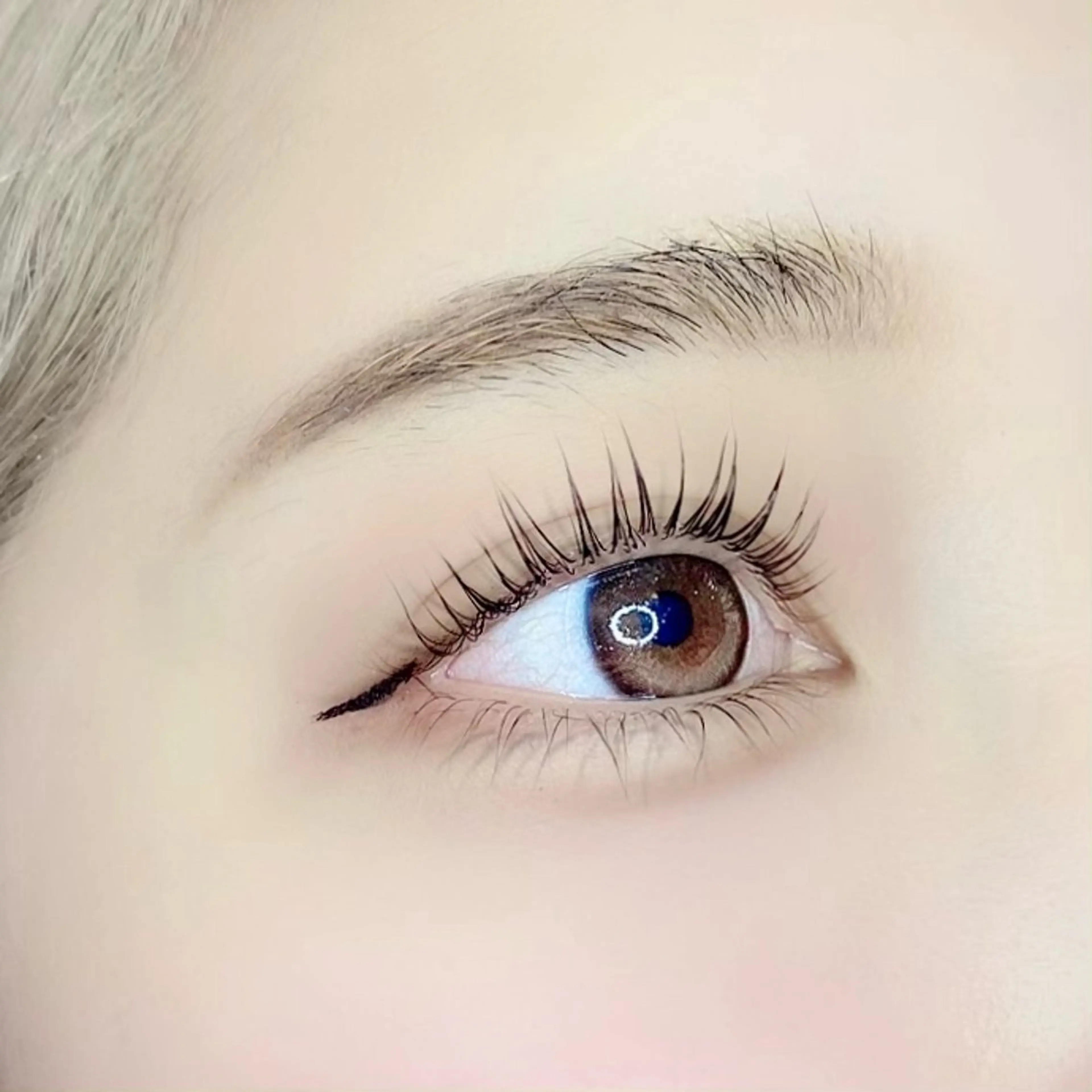 上下⚖️パリジェンヌ🎠【初回​〜​3回目まで】の写真