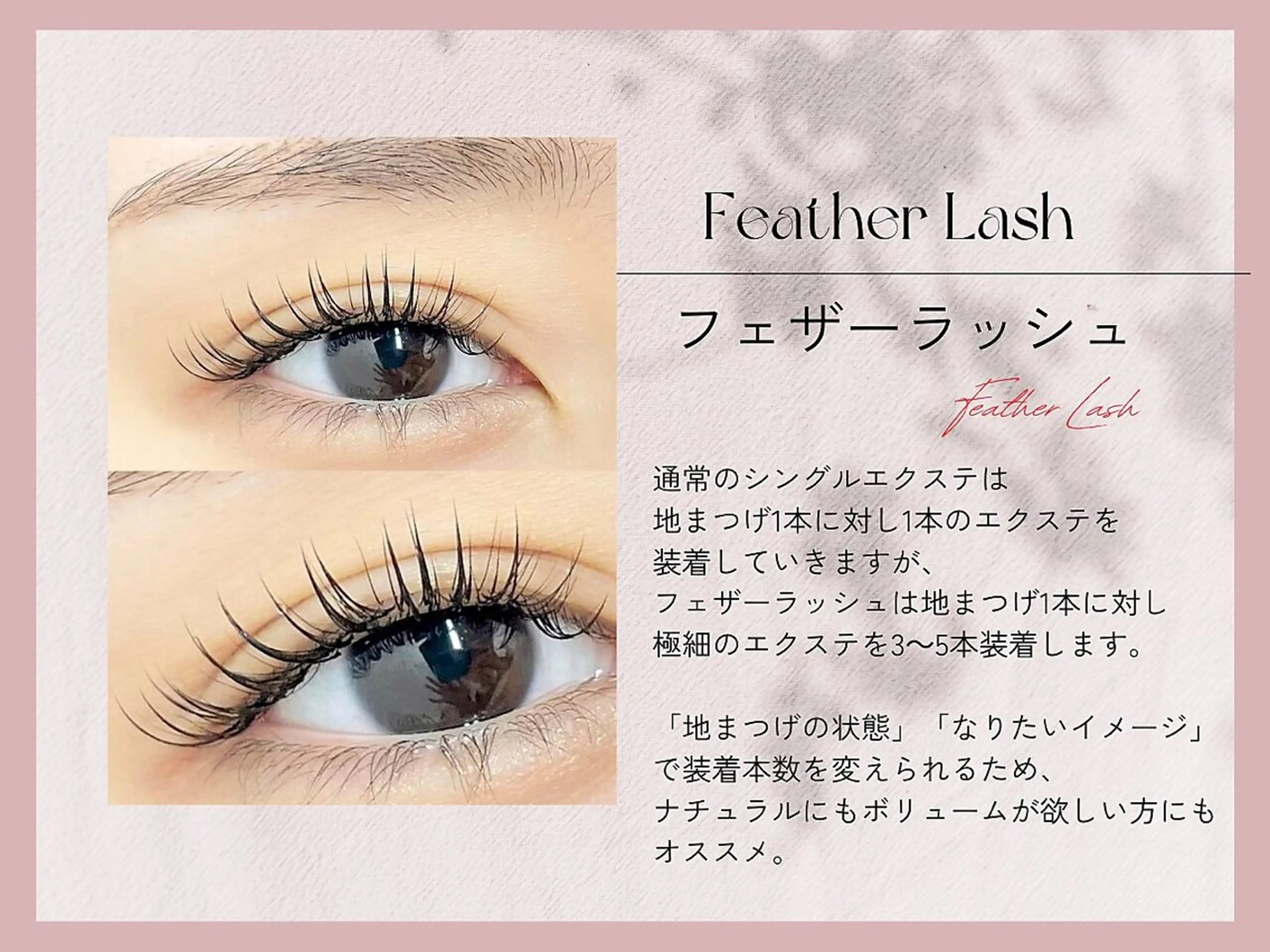 【束感◎ボリューム◎】フェザーラッシュ100束オフ込み🌼当店価格から10%オフの写真