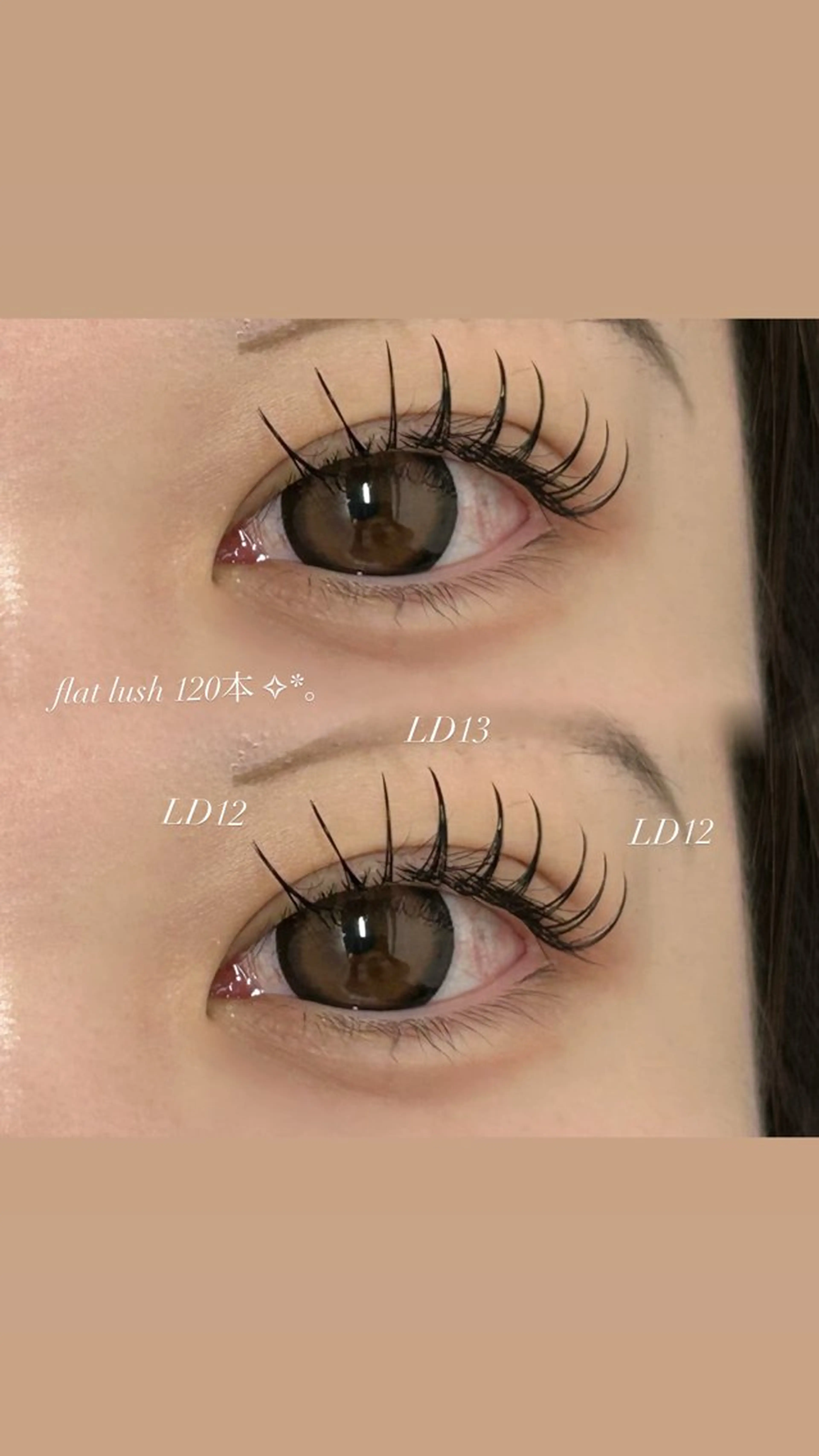 本日限定🎀✧︎*。【オフ別途】フラットラッシュ120本🖤の写真