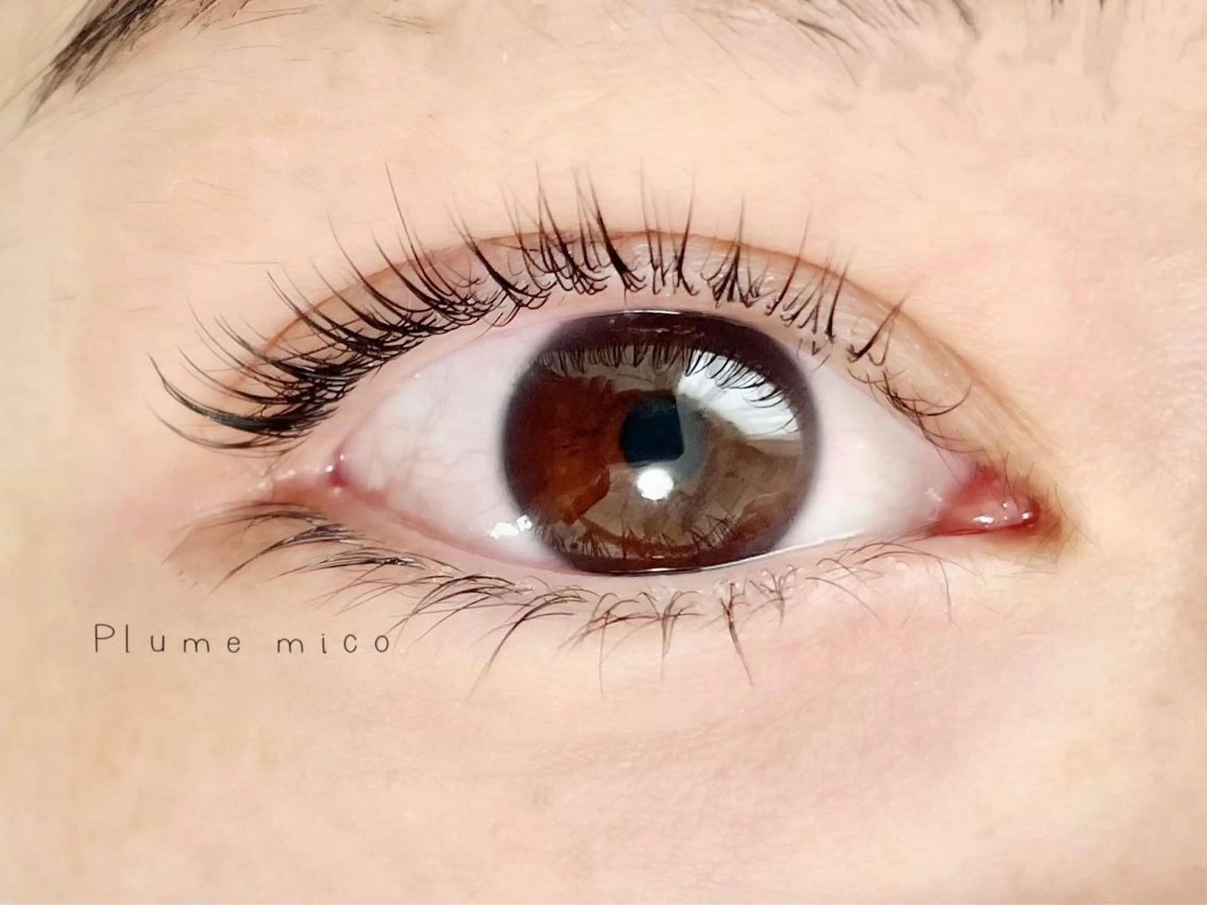 マツエク・マツパ マツパ Plume micoのマツエク・マツパデザイン