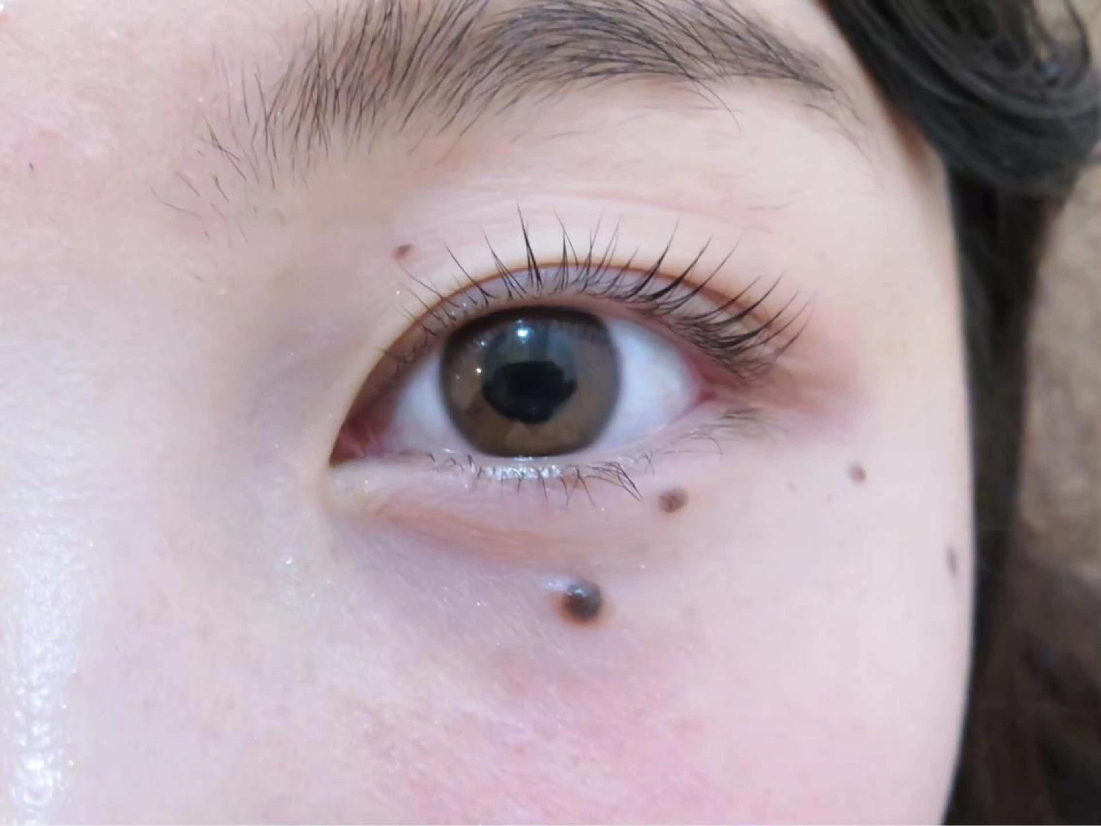 マツエク・マツパ サクラブロウ 池袋　店の眉毛・アイブロウイメージ