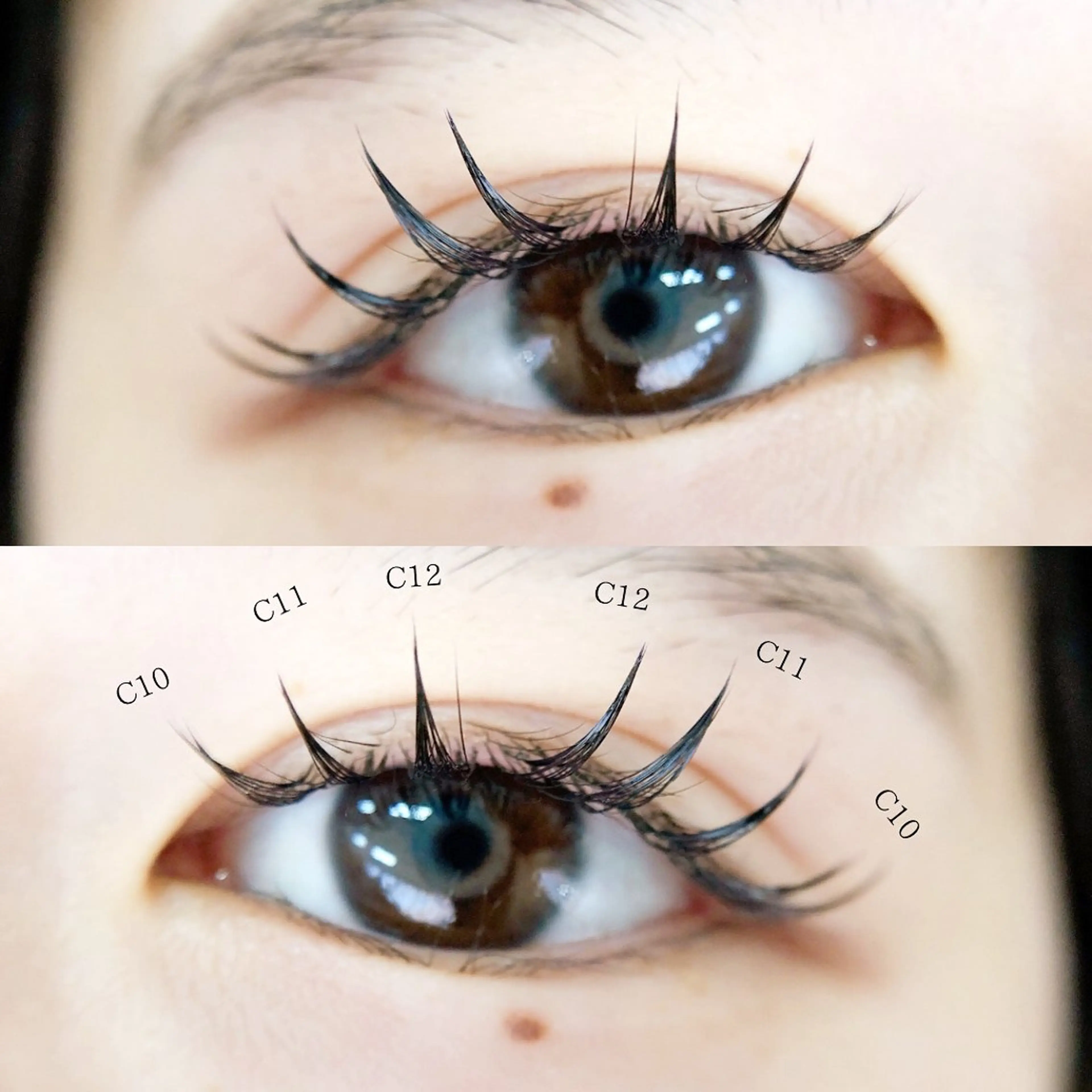 マツエク・マツパ マツエク MIGNON 冨田　当日予約のみのマツエク・マツパデザイン