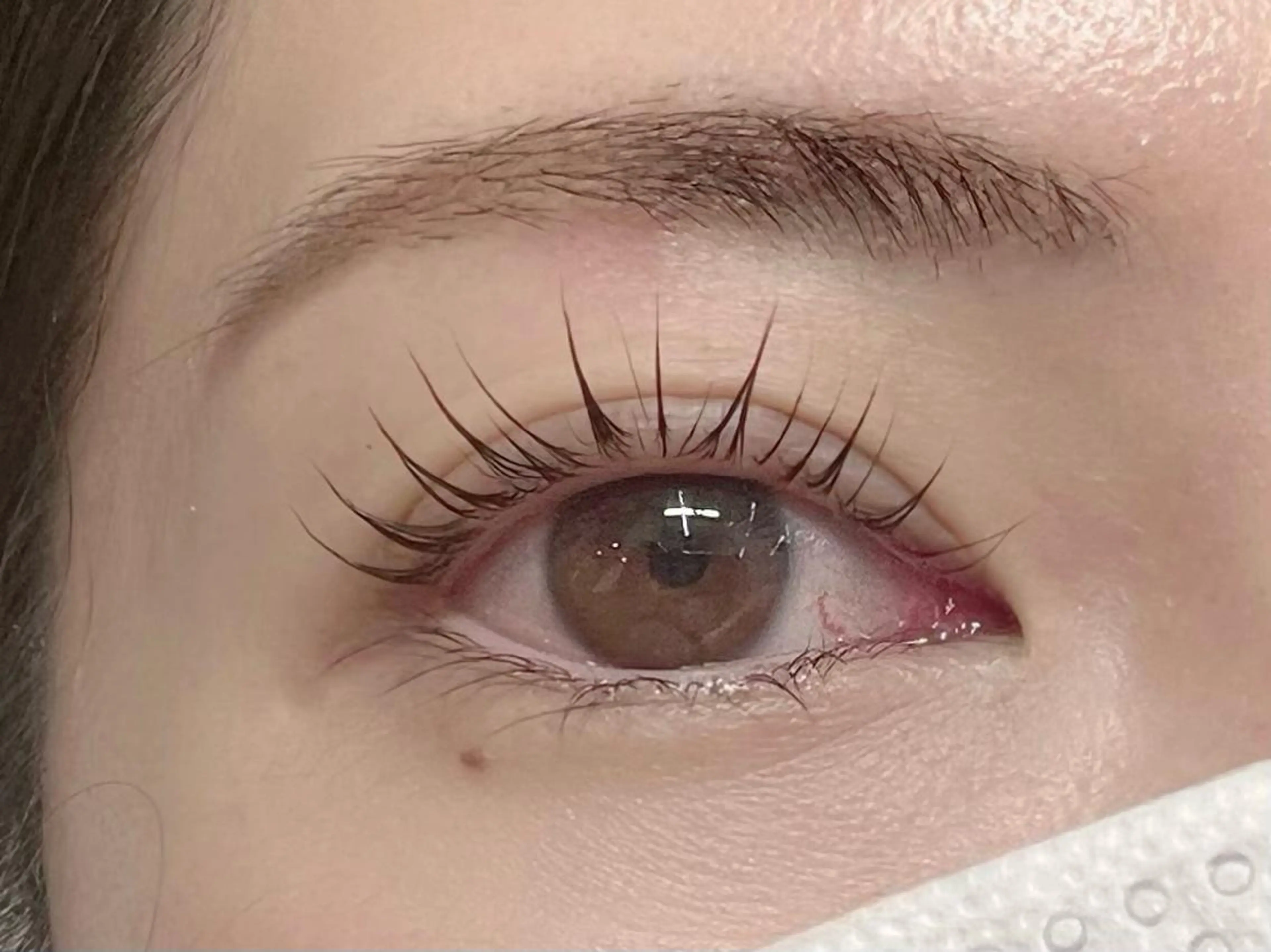 パリジェンヌラッシュリフトor束間まつ毛パーマ(+¥1000でマスカラパーマに変更可能)の写真