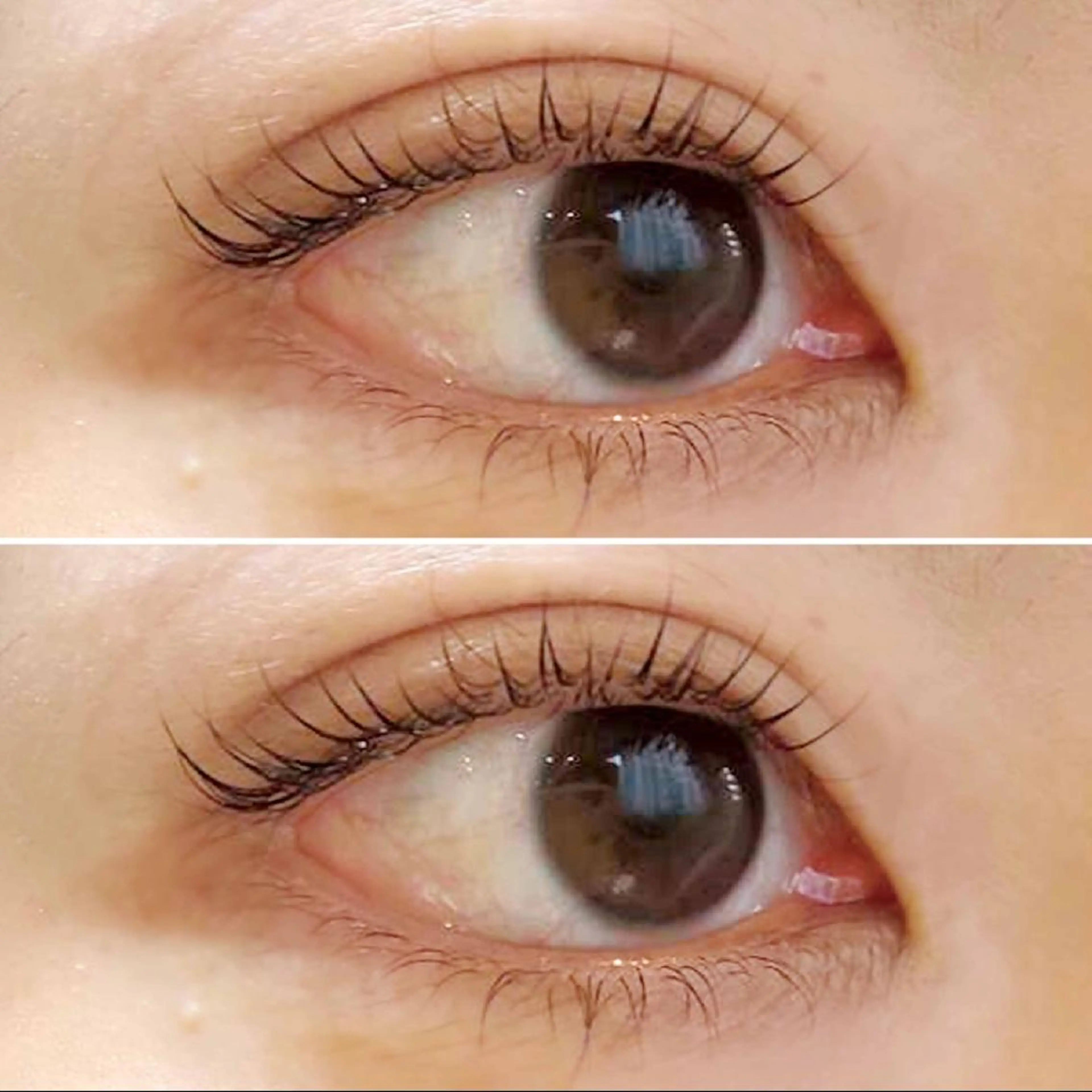 マツエク・マツパ MAXまつ毛&  フェイシャルのマツエク・マツパデザイン