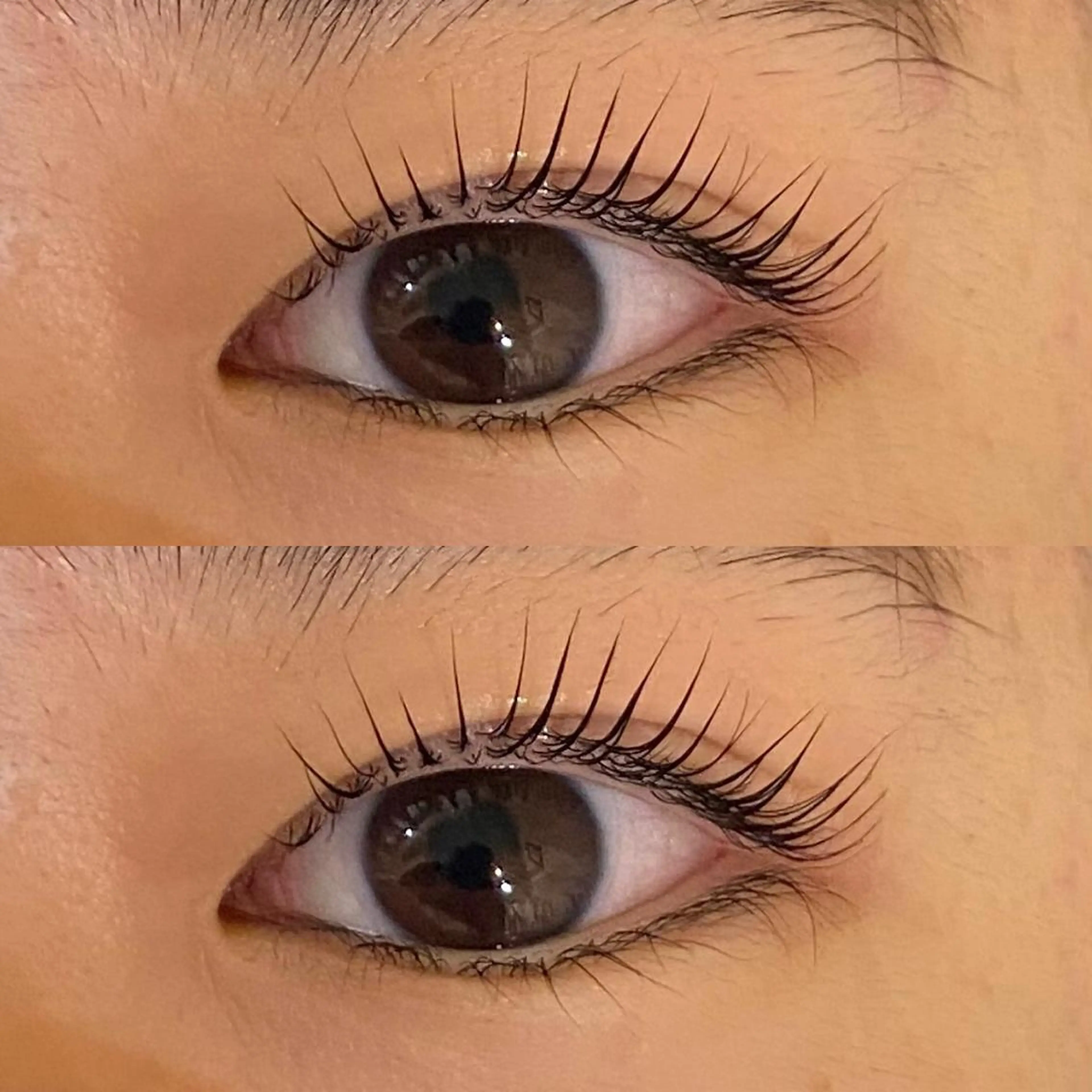 マツエク・マツパ パリジェンヌラッシュリフト HINANO🌷 髪質改善サロンの眉毛・アイブロウイメージ