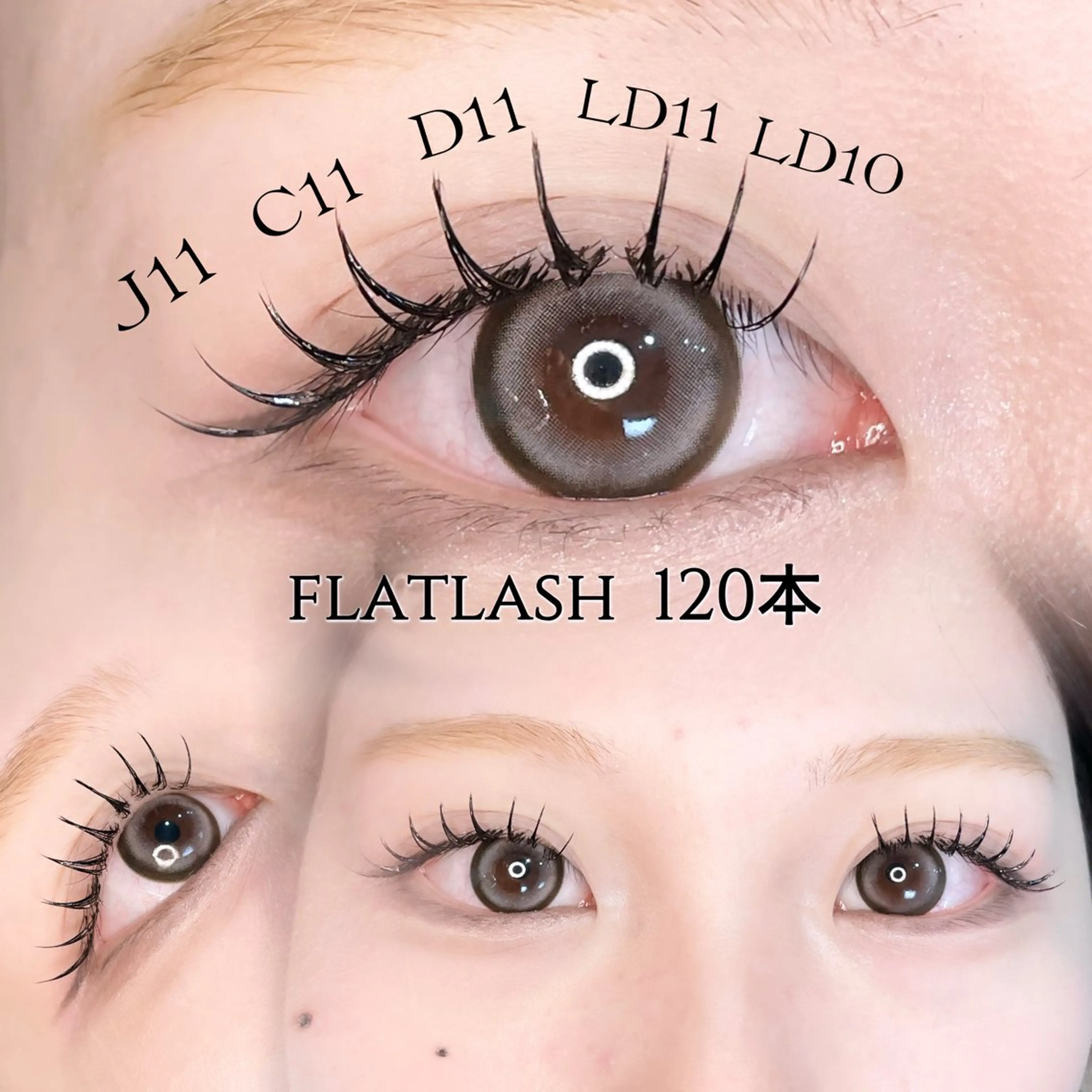 マツエク・マツパ Dカール フラットラッシュ マツエク パリジェンヌ/美眉 OLIVIA加藤のマツエク・マツパデザイン