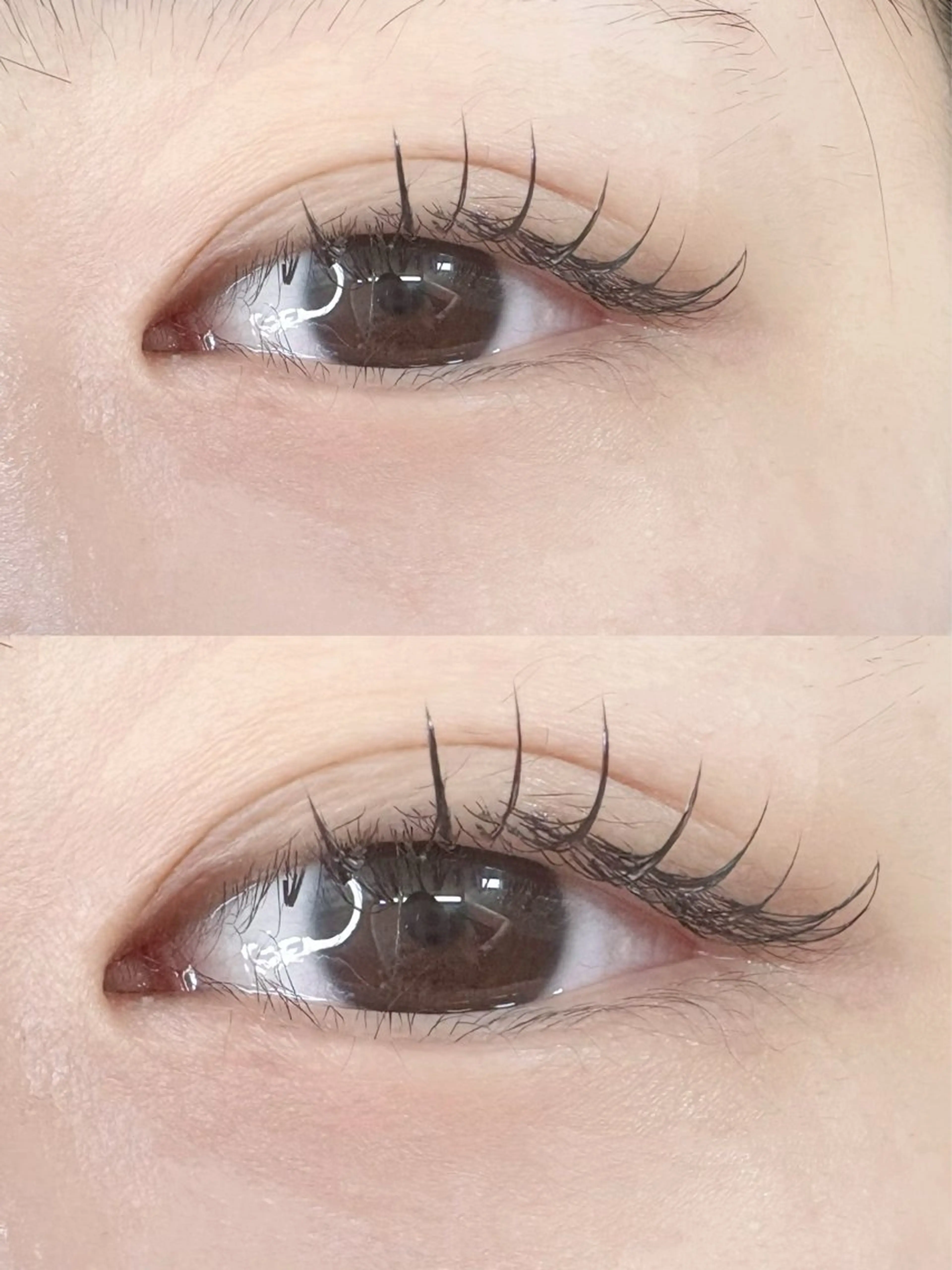 フラットマットラッシュ 80本の写真