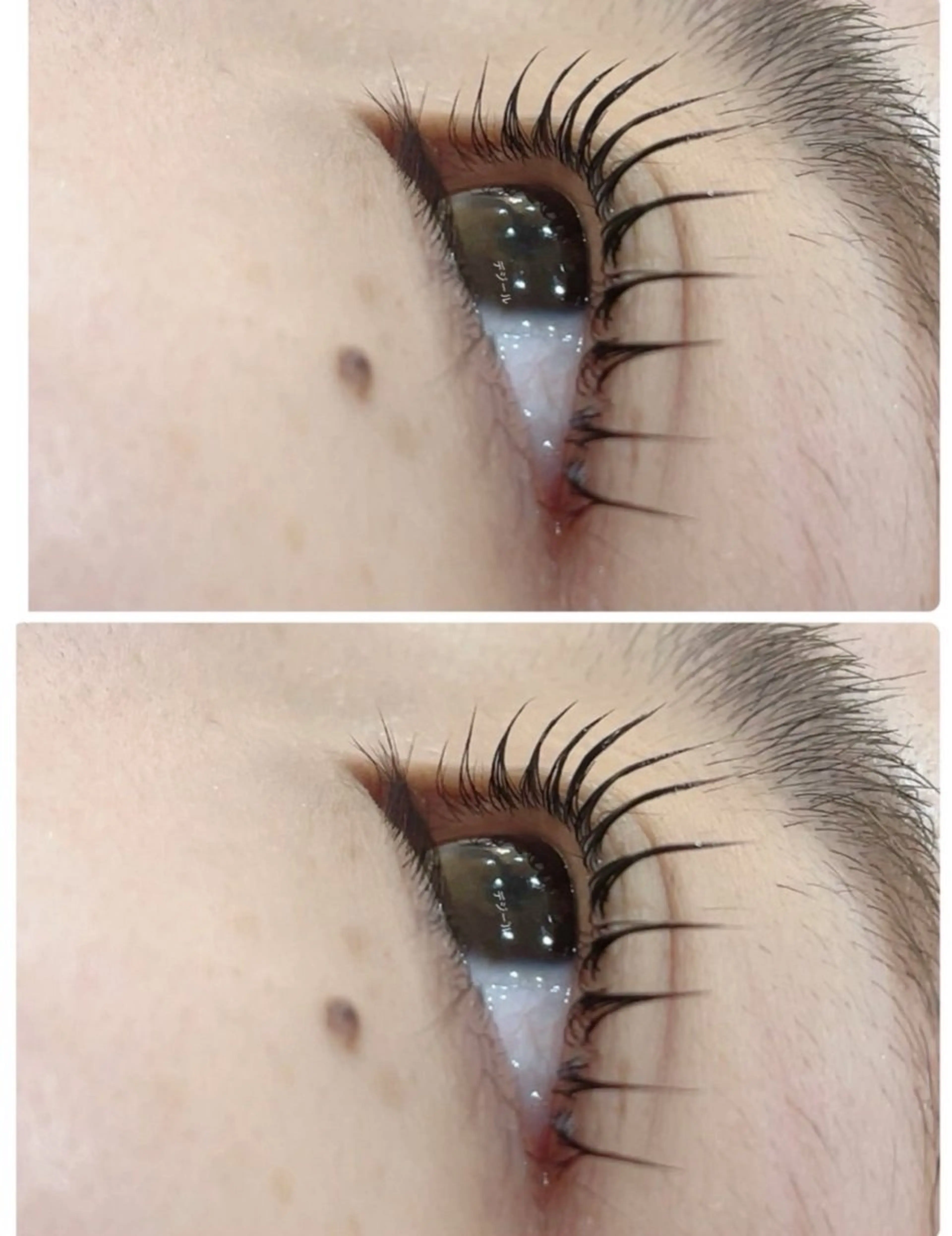 マツエク・マツパ マツパ 🌹ブリランテ🌹 大人気店のマツエク・マツパデザイン