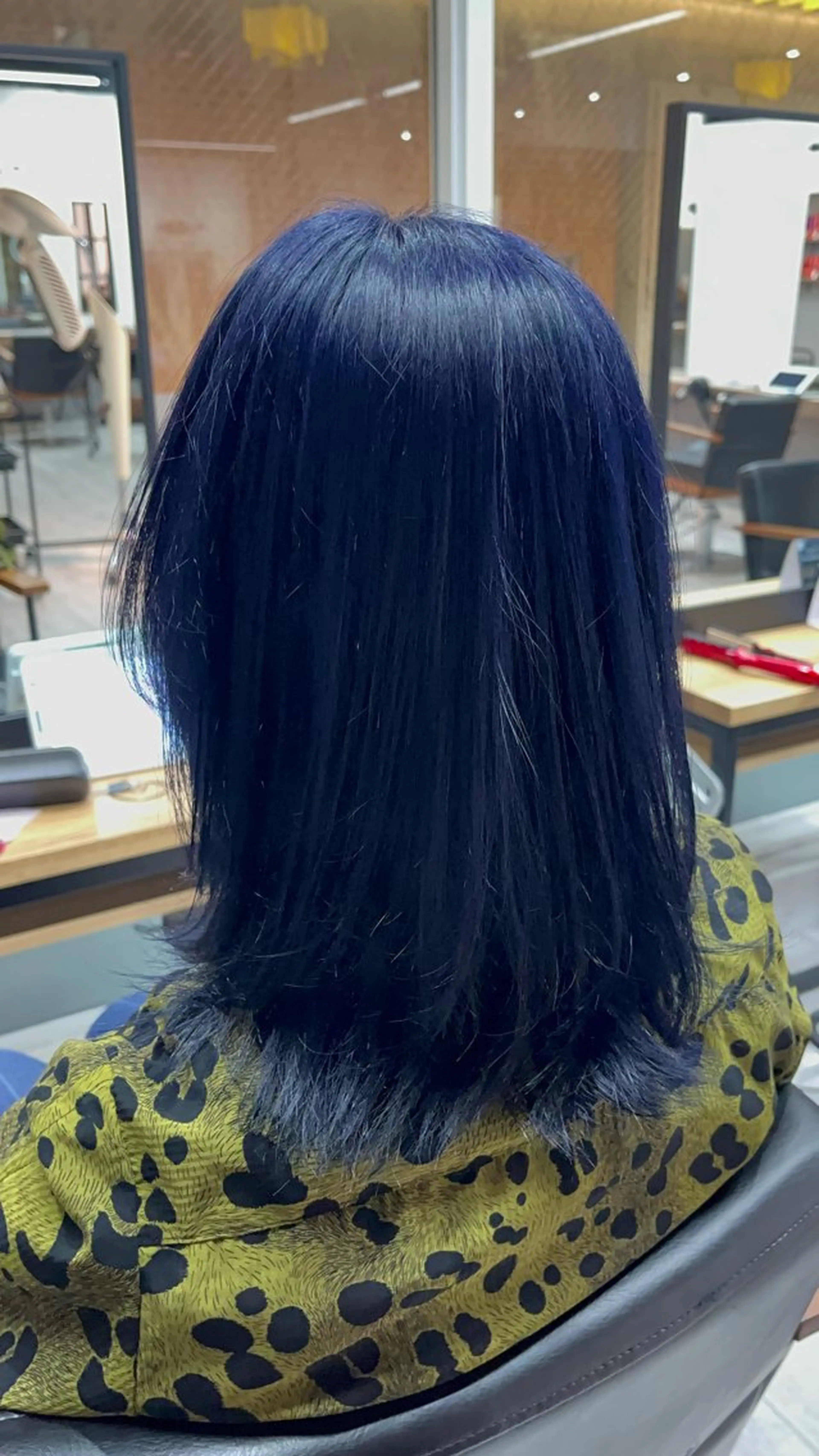 セミロング カラー ブルーカラー アイバ シュンのヘアスタイル