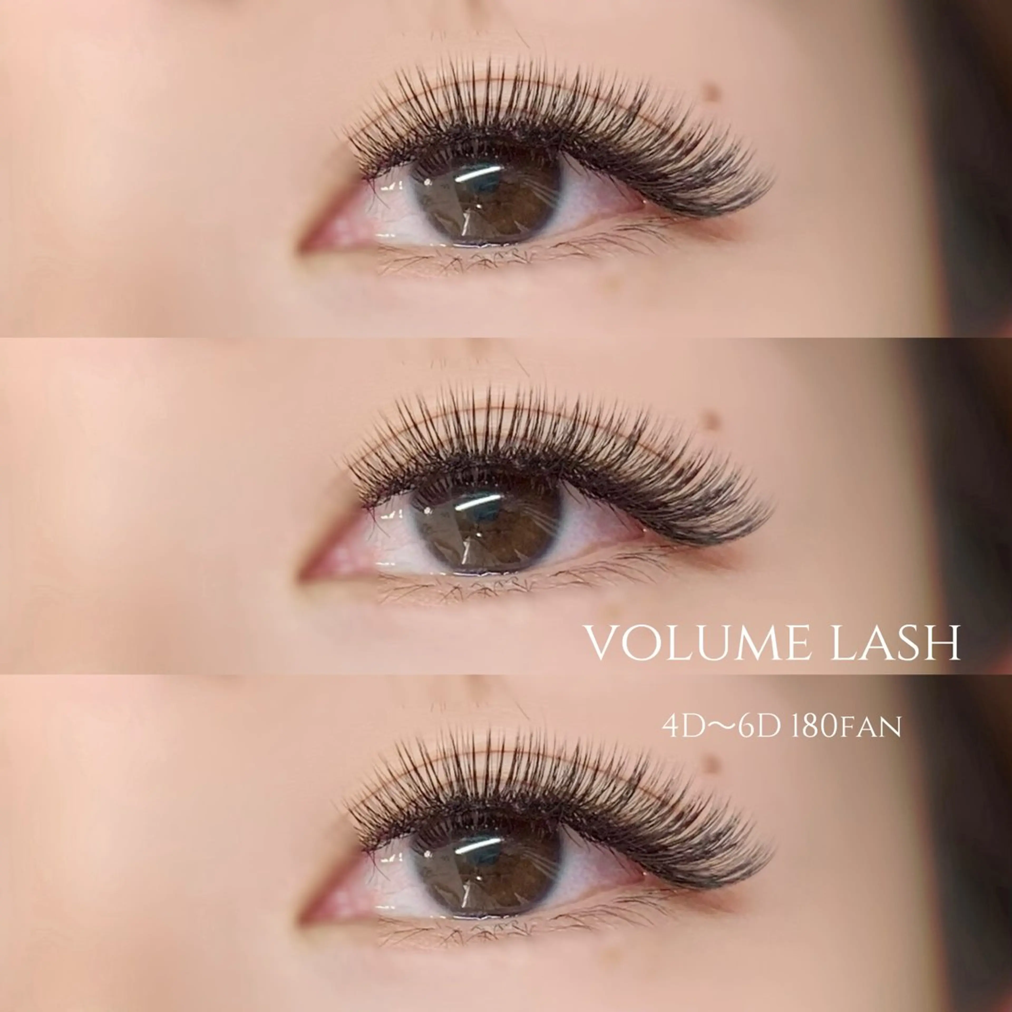 【LED】ボリュームラッシュ4D​〜​6D付け放題（アイシャンプー付き！）の写真